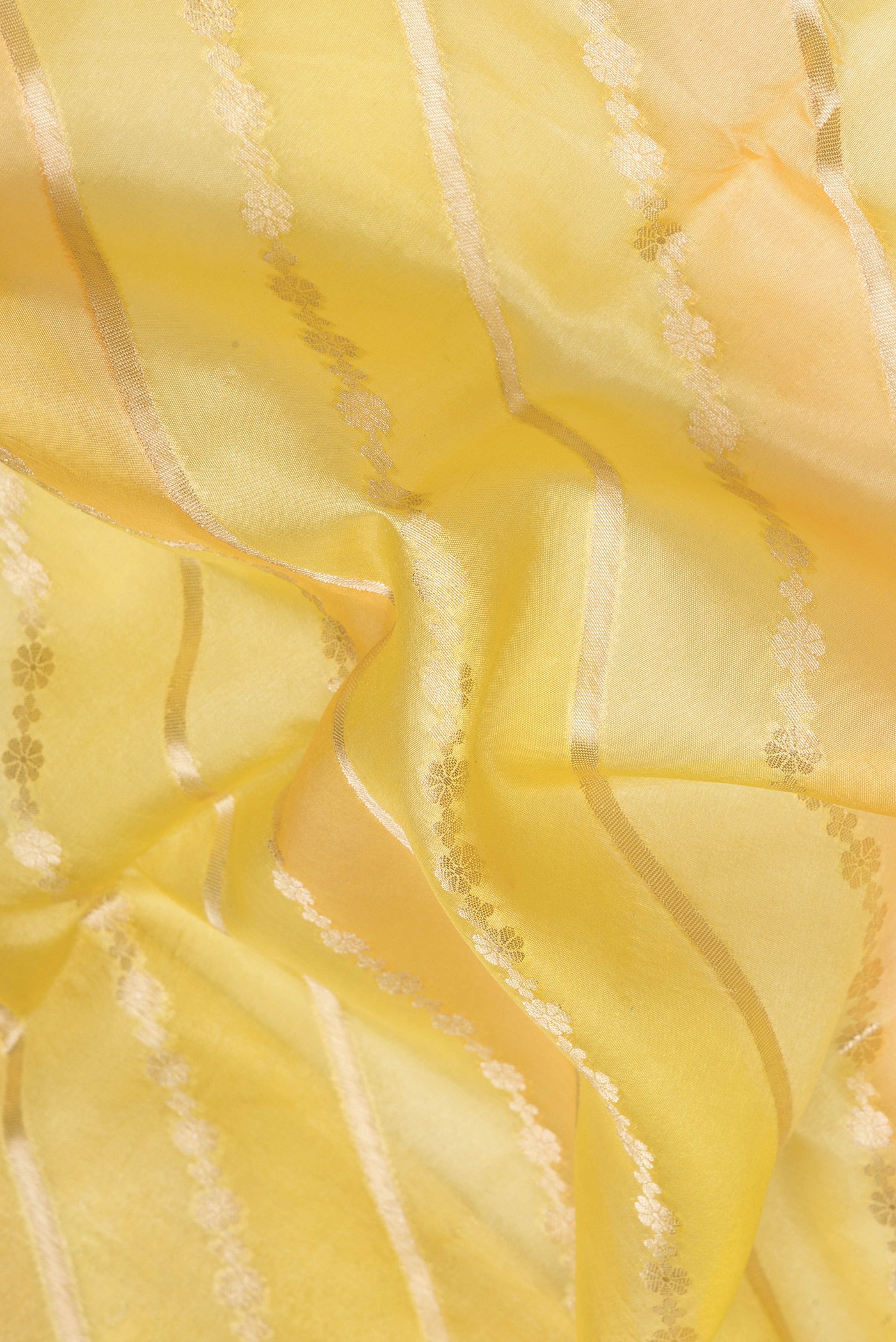 Close up of Lemon Yellow Dual Tone Tussar Silk Saree with Zari Brocade on the body and Zari Border.  displaying folds