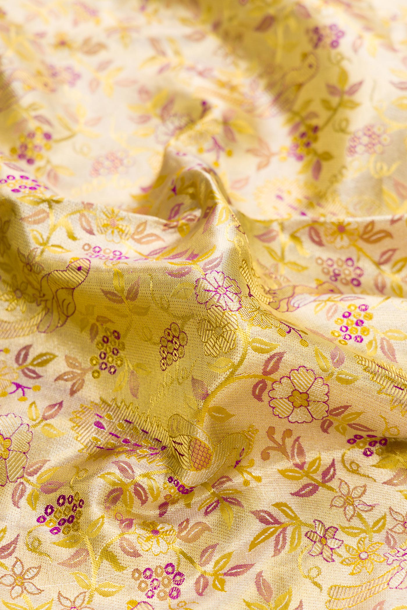 Close up of Gold Dual Tone Kanchipuram Tissue Silk Saree with Zari Brocade on the body and Zari Border.  displaying folds