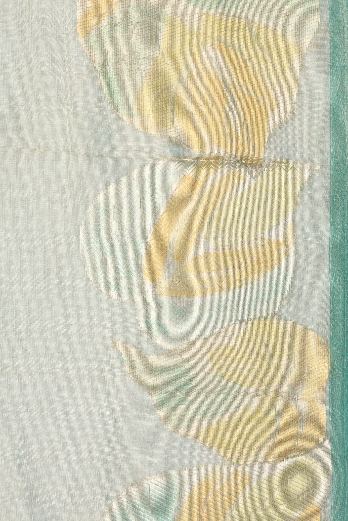 Border image of Green Dual Tone Organza Silk Saree with Plain Body and Fancy Border. 