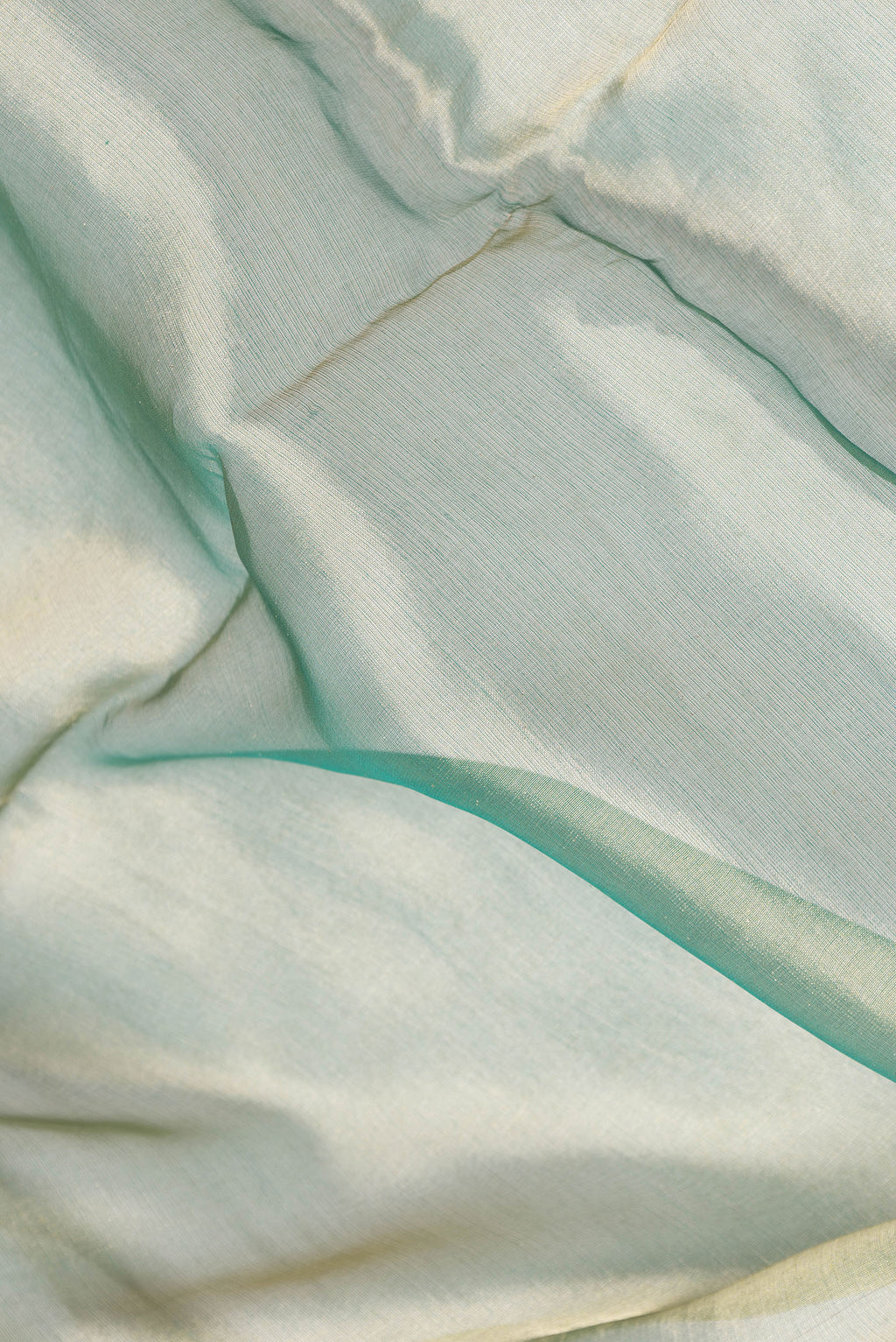 Close up of Green Dual Tone Organza Silk Saree with Plain Body and Fancy Border.  displaying folds