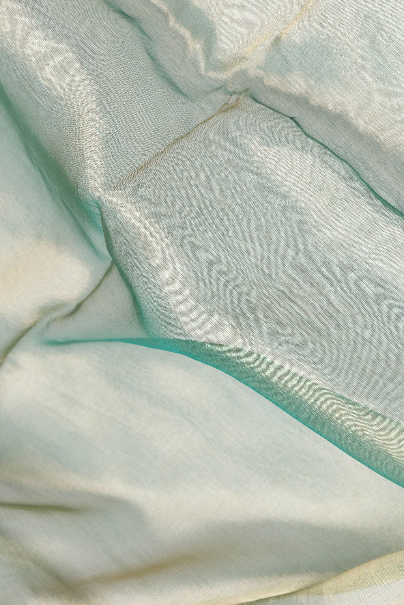 Close up of Green Dual Tone Organza Silk Saree with Plain Body and Fancy Border.  displaying folds