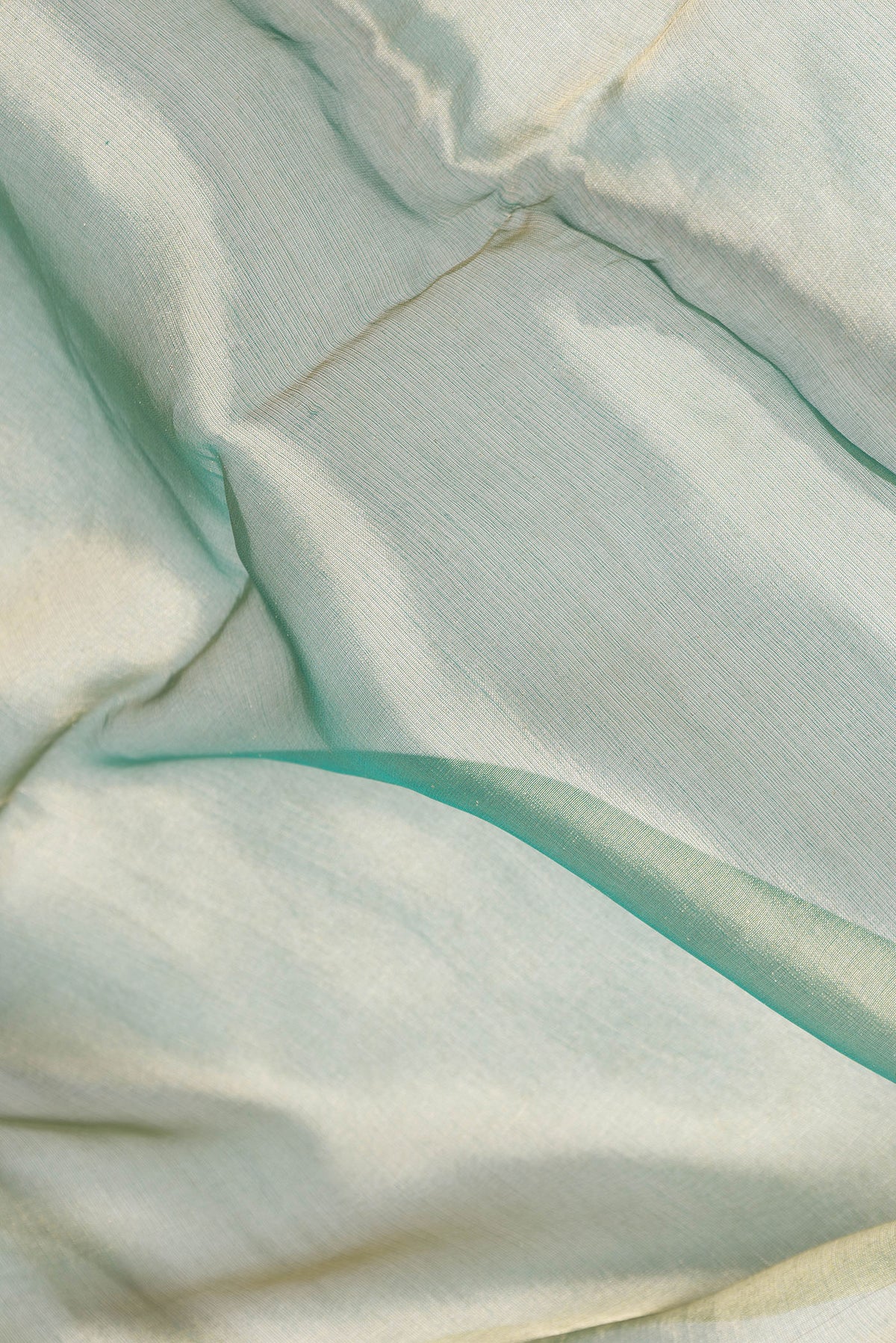 Close up of Green Dual Tone Organza Silk Saree with Plain Body and Fancy Border.  displaying folds