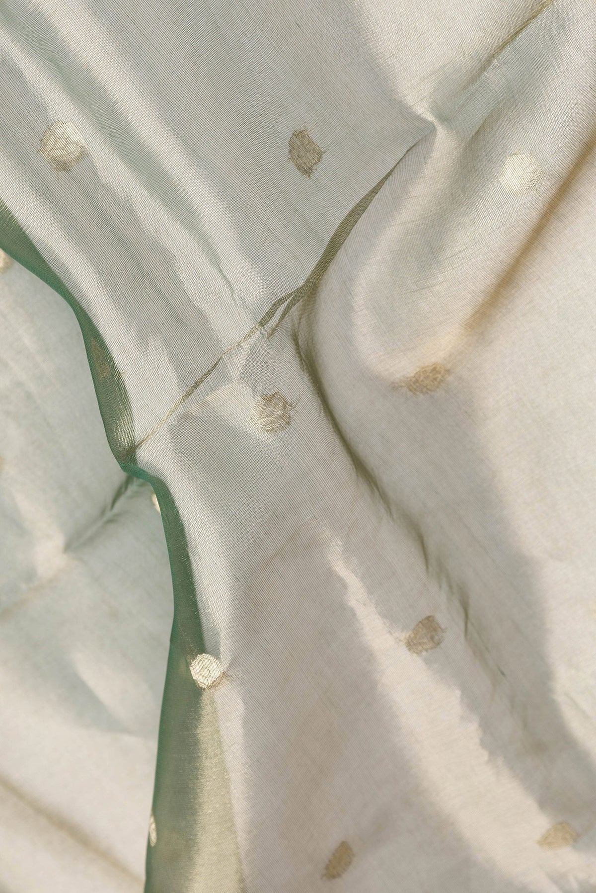 Close up of Green Dual Tone Organza Silk Saree with Zari Butta on the body and Zari Border.  displaying folds