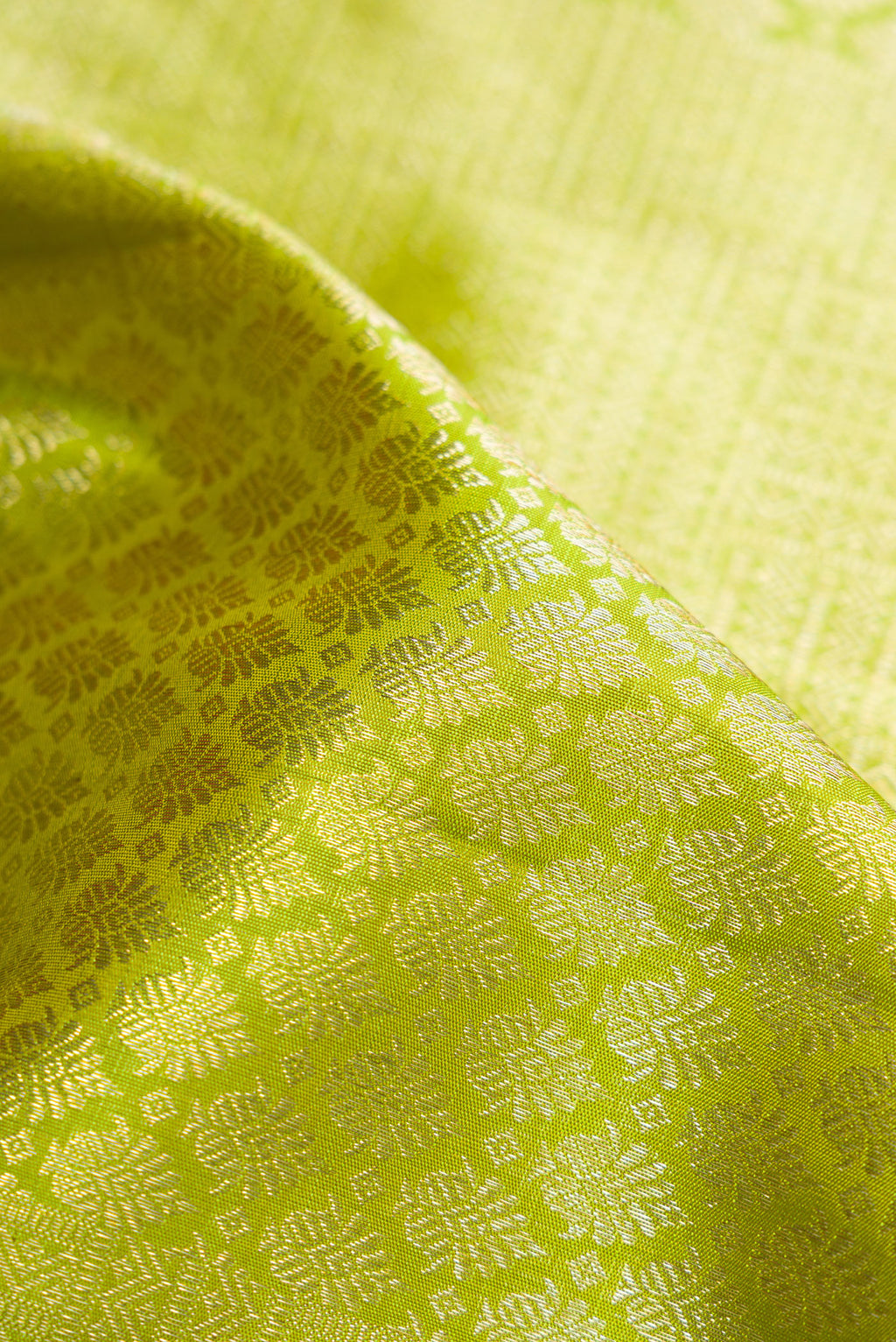 Close up of Parrot Green Dual Tone Kanchipuram Silk Saree with Zari Brocade on the body and Zari Border.  displaying folds