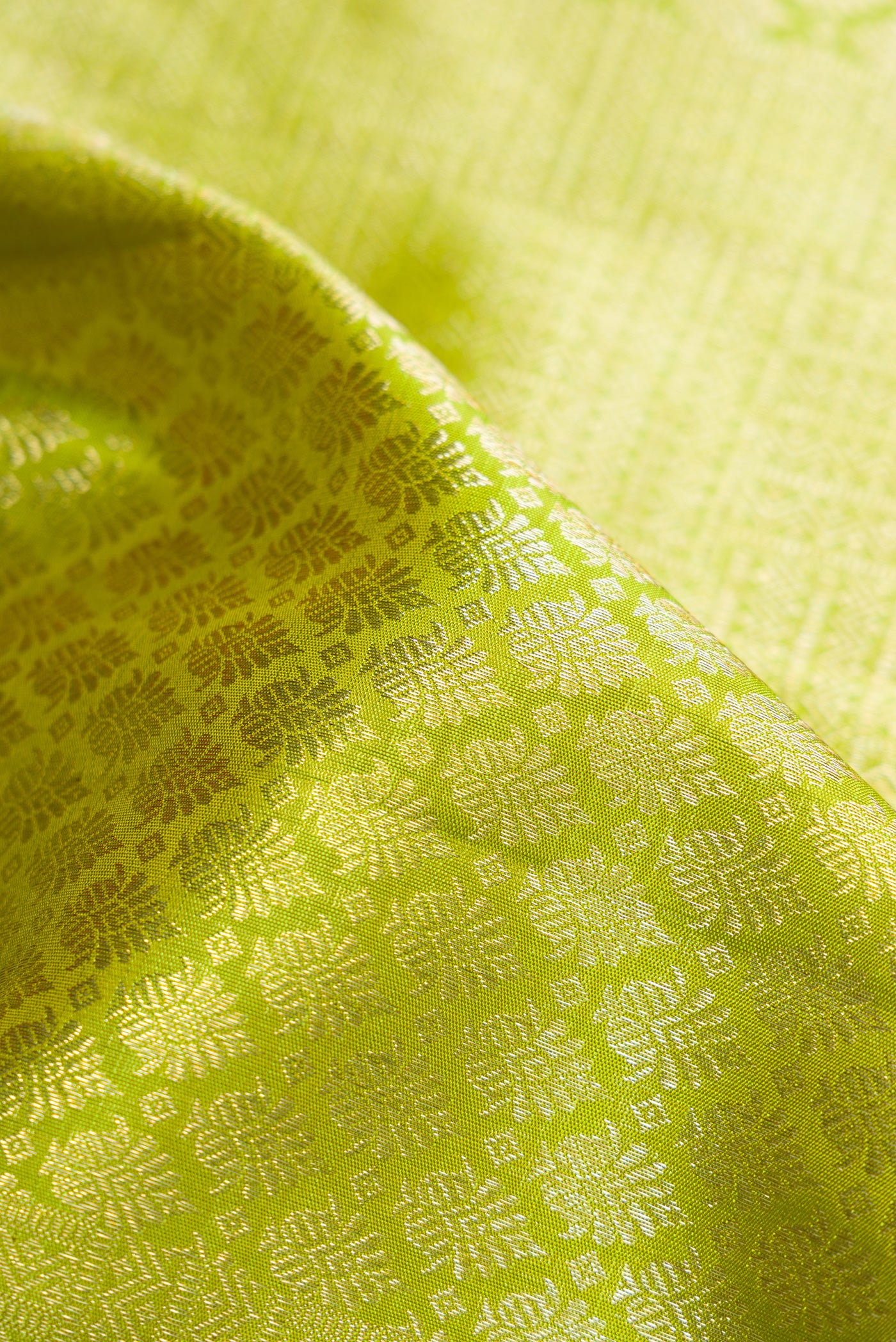 Close up of Parrot Green Dual Tone Kanchipuram Silk Saree with Zari Brocade on the body and Zari Border.  displaying folds