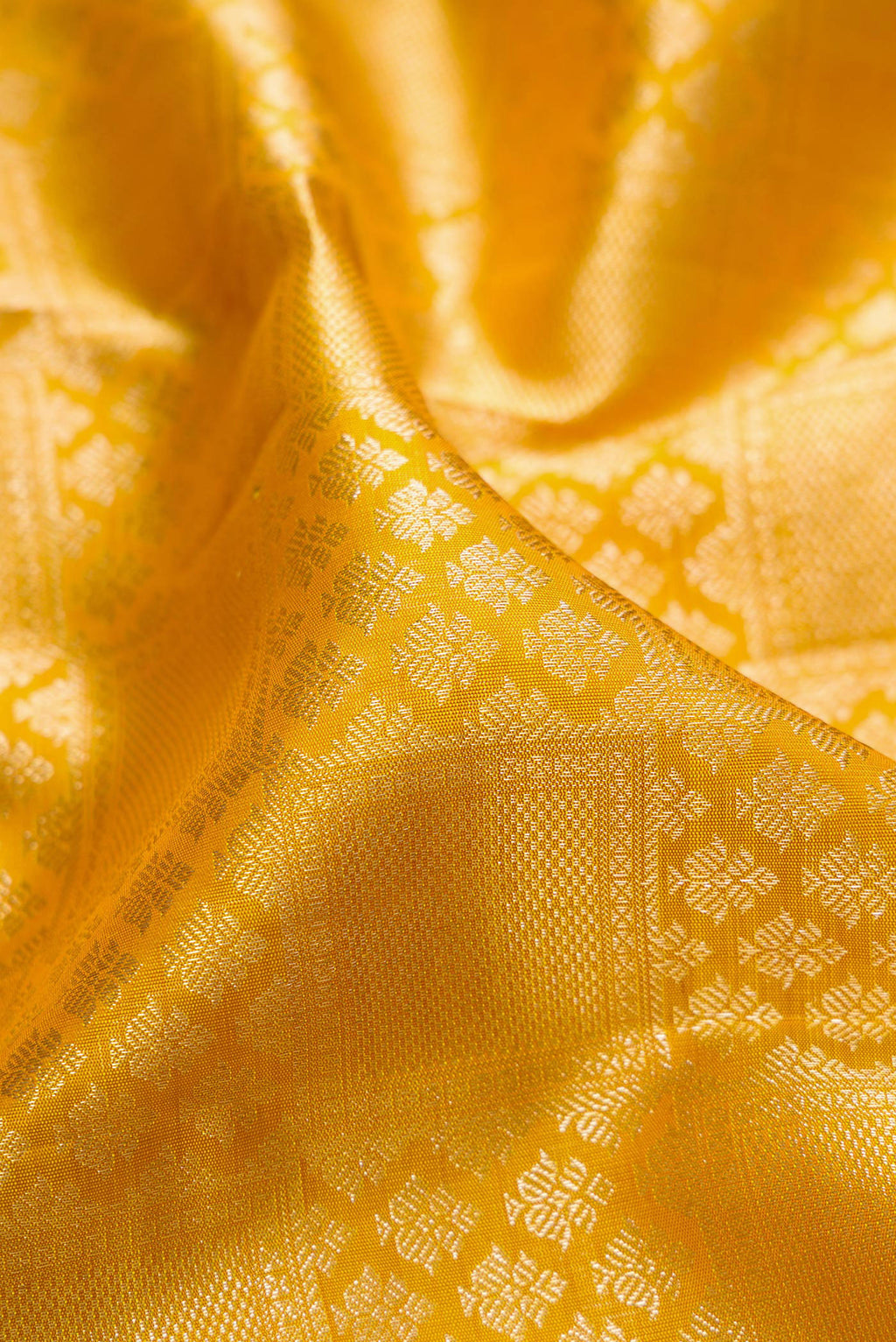 Close up of Mustard Kanchipuram Silk Saree with Zari Brocade on the body and Zari Border.  displaying folds