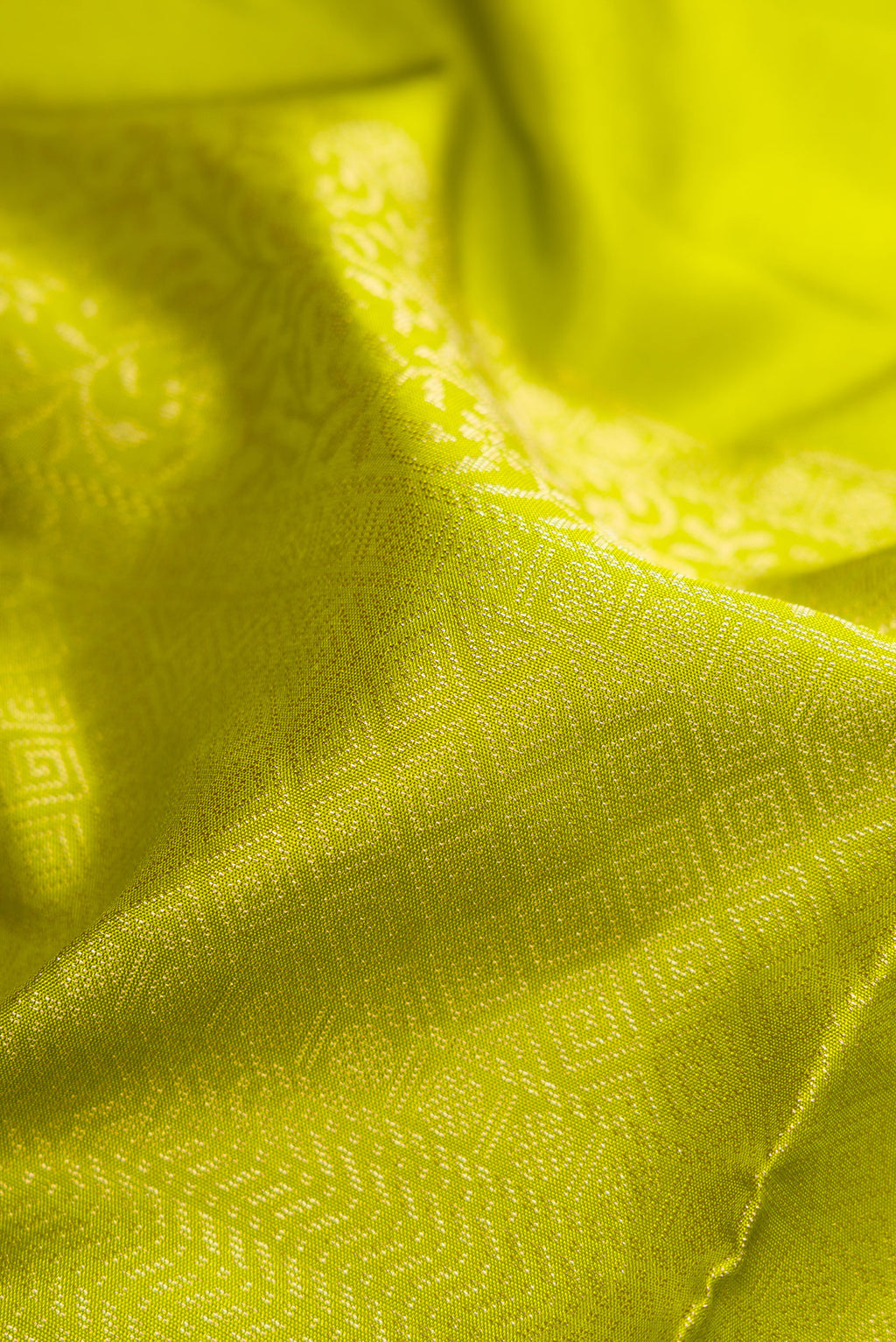 Close up of Parrot Green Soft Silk Saree with Zari Butta on the body and Fancy Border.  displaying folds