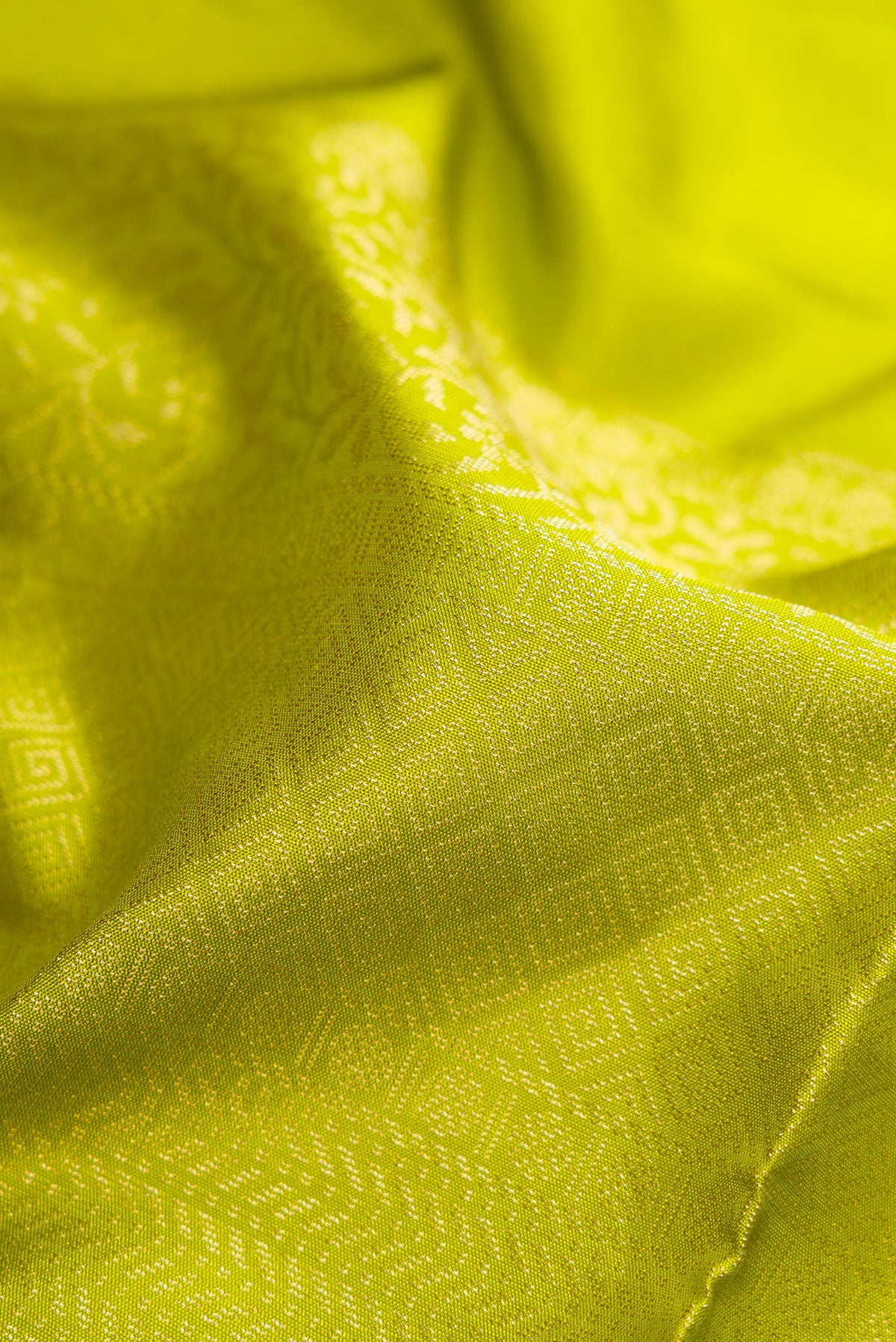 Close up of Parrot Green Soft Silk Saree with Zari Butta on the body and Fancy Border.  displaying folds