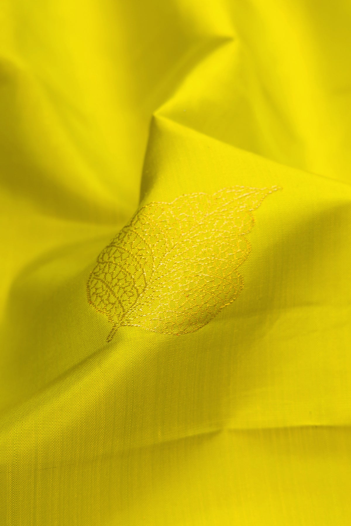 Close up of Parrot Green Dual Tone Kanchipuram Silk Saree with Zari Butta on the body and Fancy Border.  displaying folds