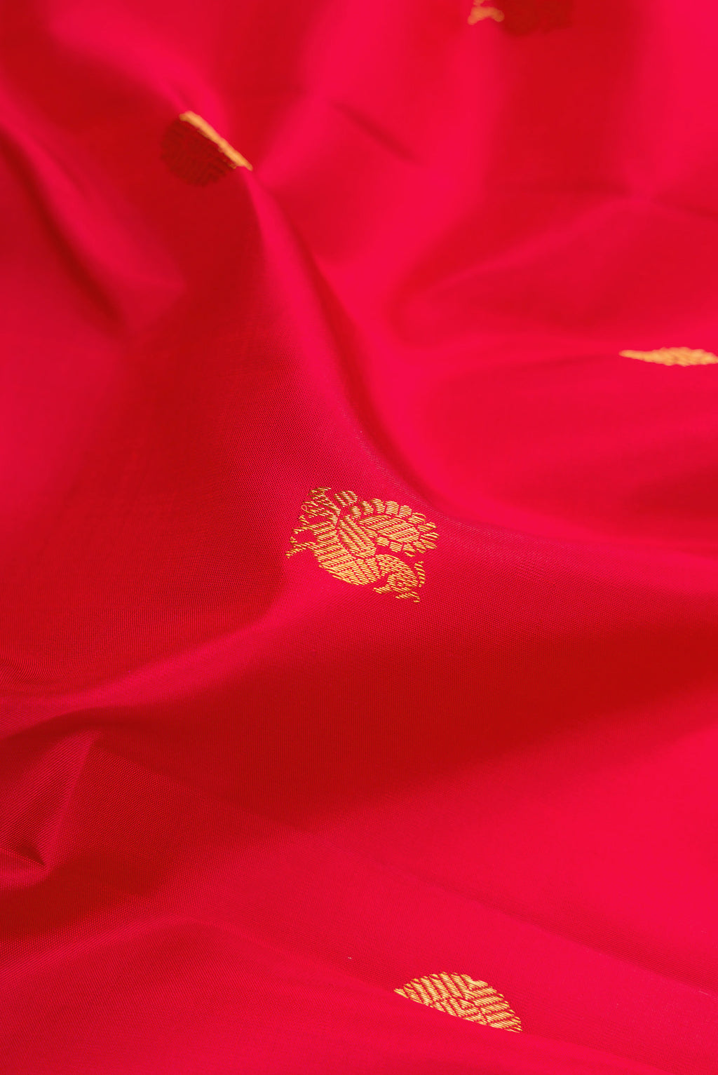 Close up of Red Kanjivaram Silk Saree with Zari Butta on the body and Zari Border.  displaying folds