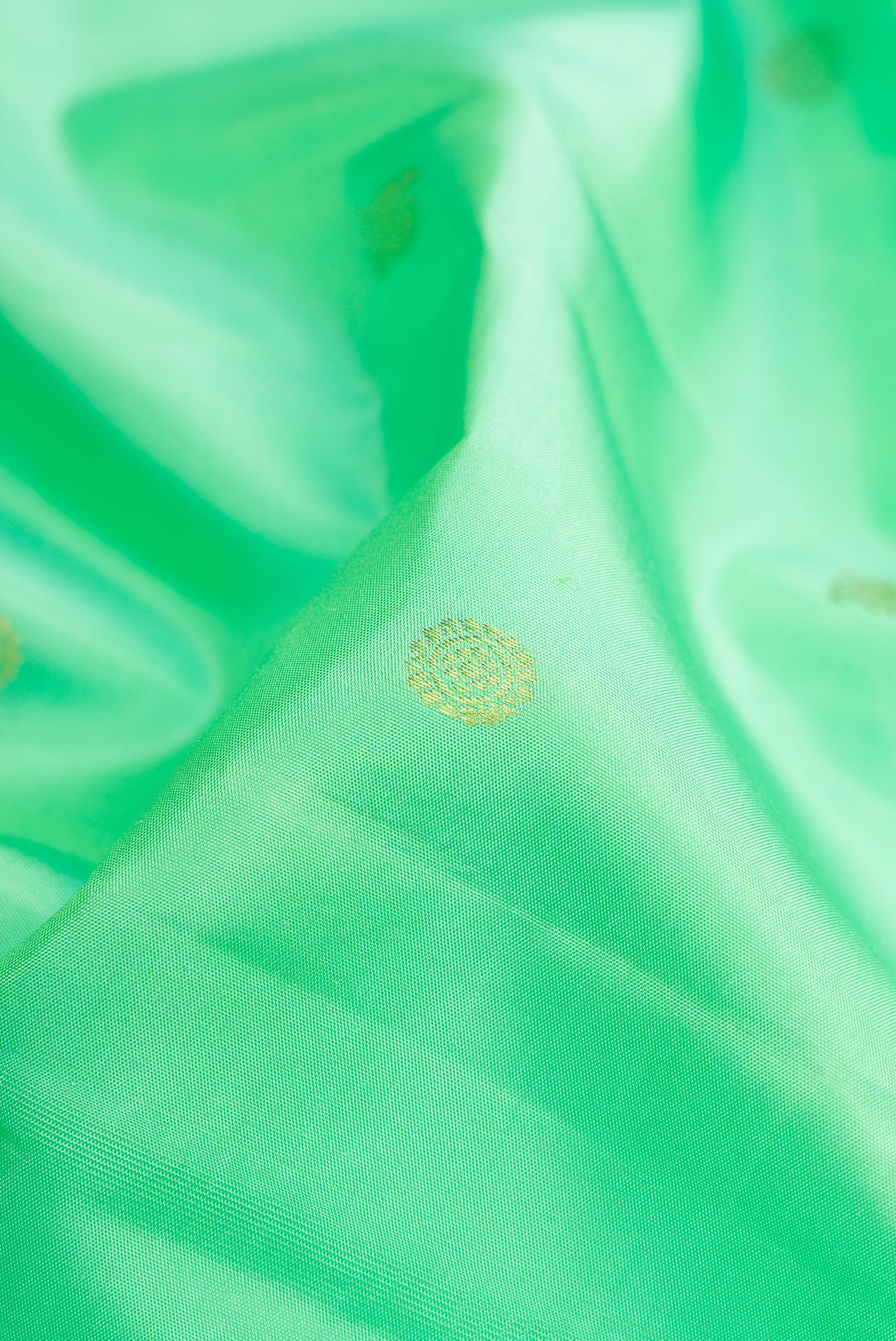 Close up of Sea Green Kanjivaram Silk Saree with Zari Butta on the body and Ganga Jamuna Border.  displaying folds