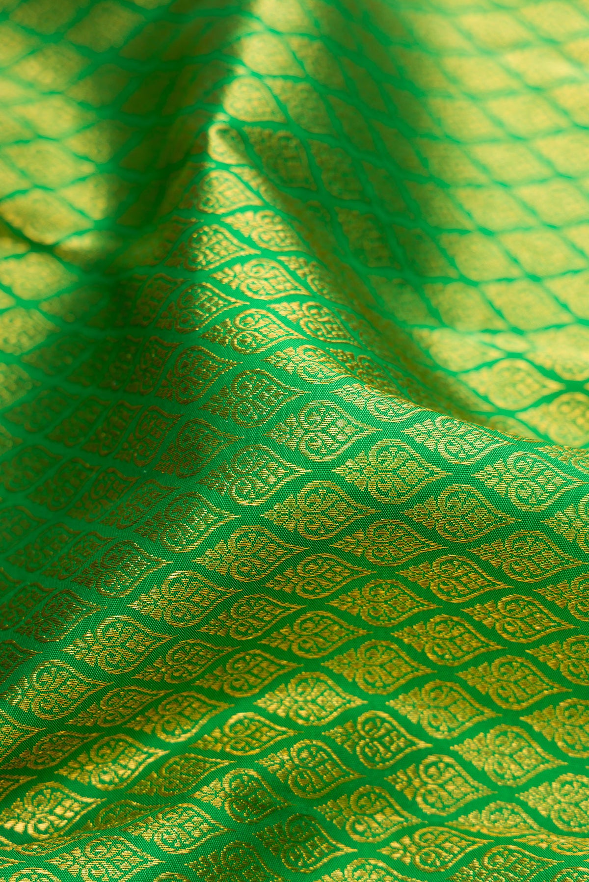 Close up of Green Kanjivaram Silk Saree with Zari Brocade on the body and Zari Border.  displaying folds