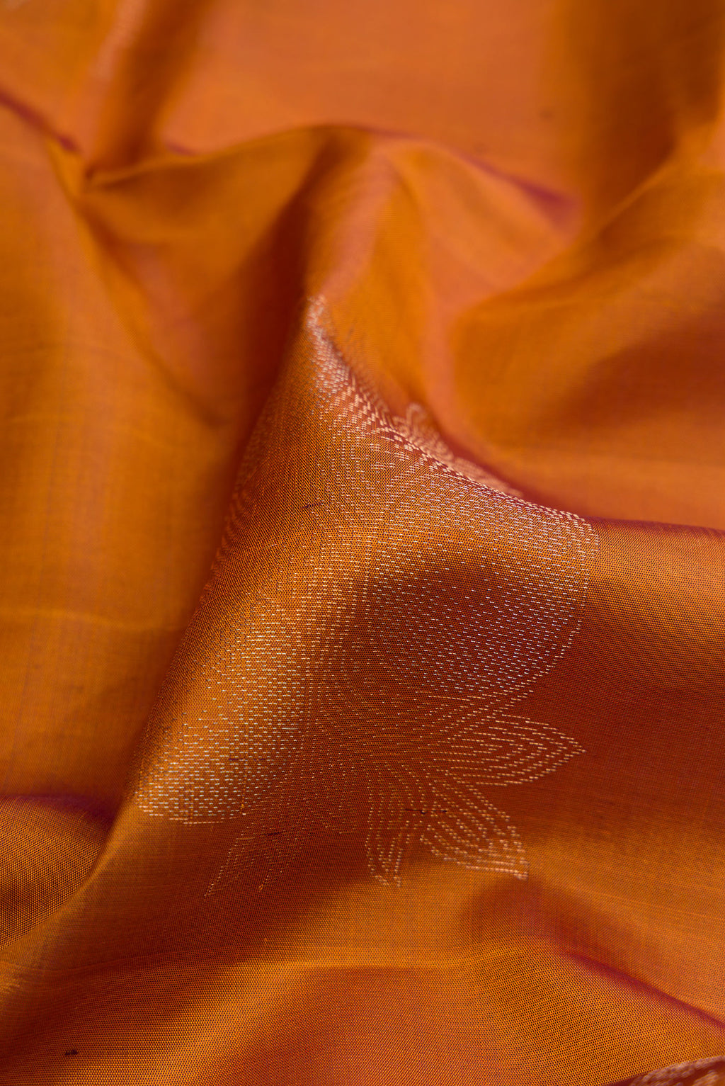 Close up of Mustard Soft Silk Saree with Zari Butta on the body and Without Border.  displaying folds