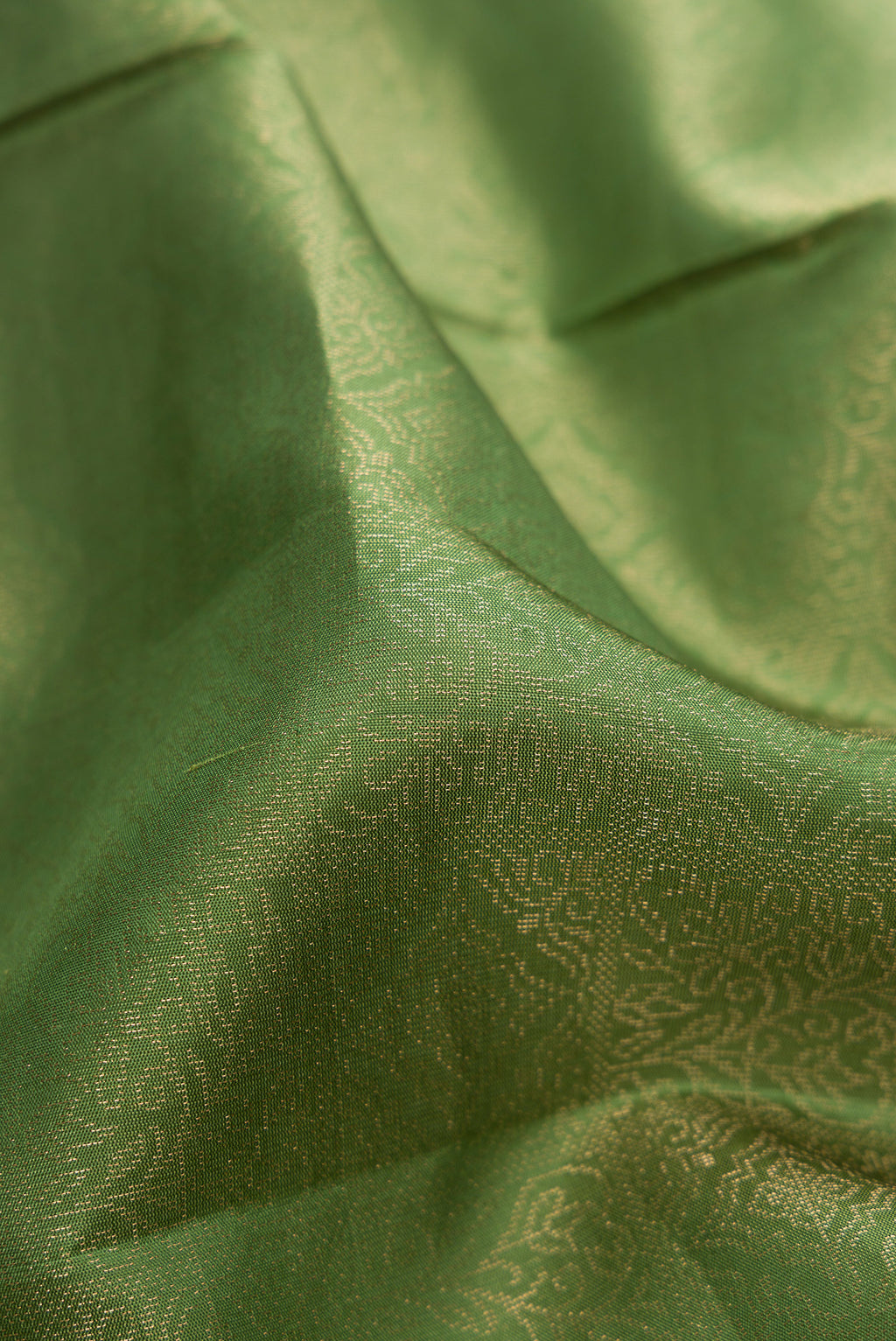 Close up of Green Soft Silk Saree with Zari Brocade on the body and Fancy Border.  displaying folds