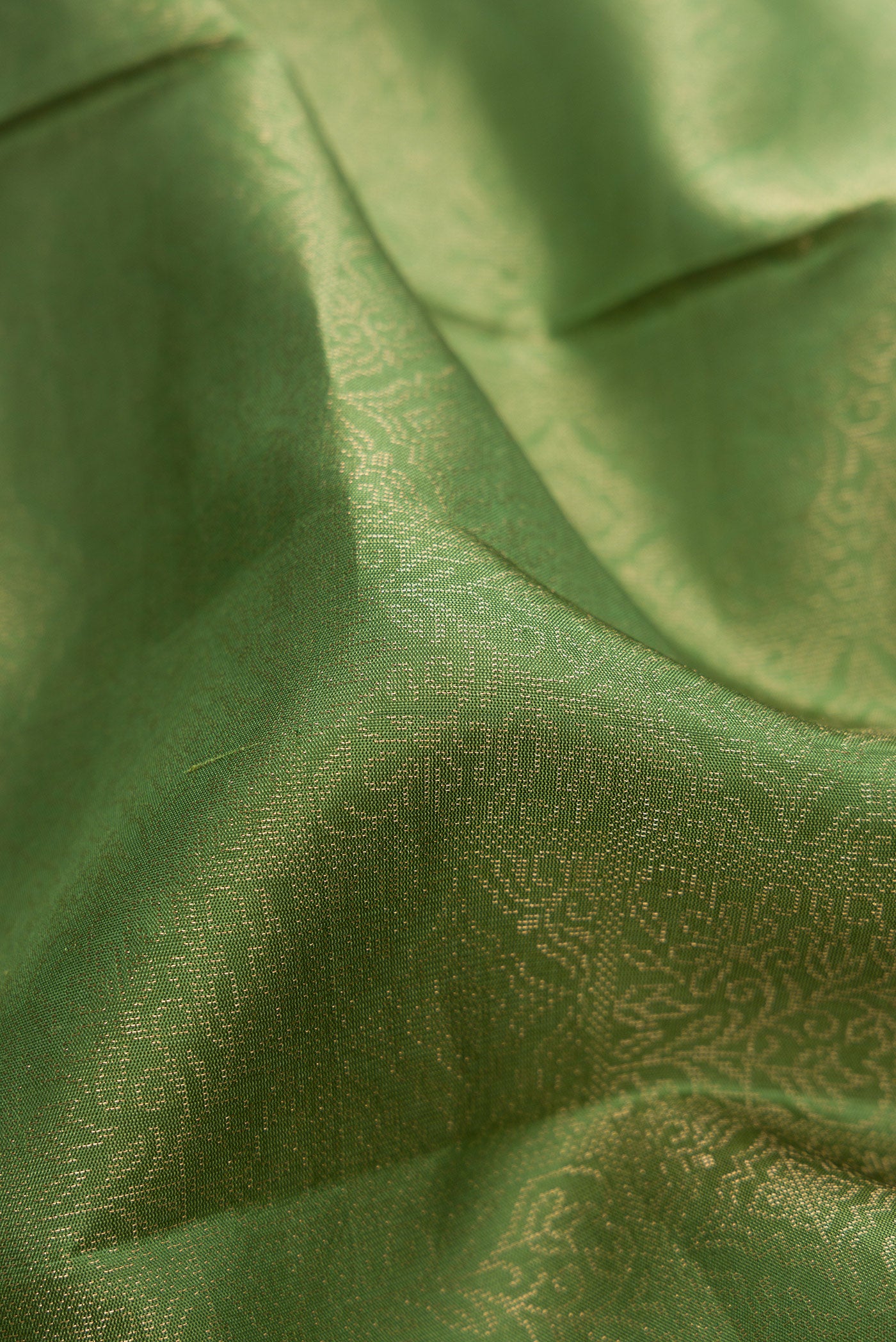 Close up of Green Soft Silk Saree with Zari Brocade on the body and Fancy Border.  displaying folds