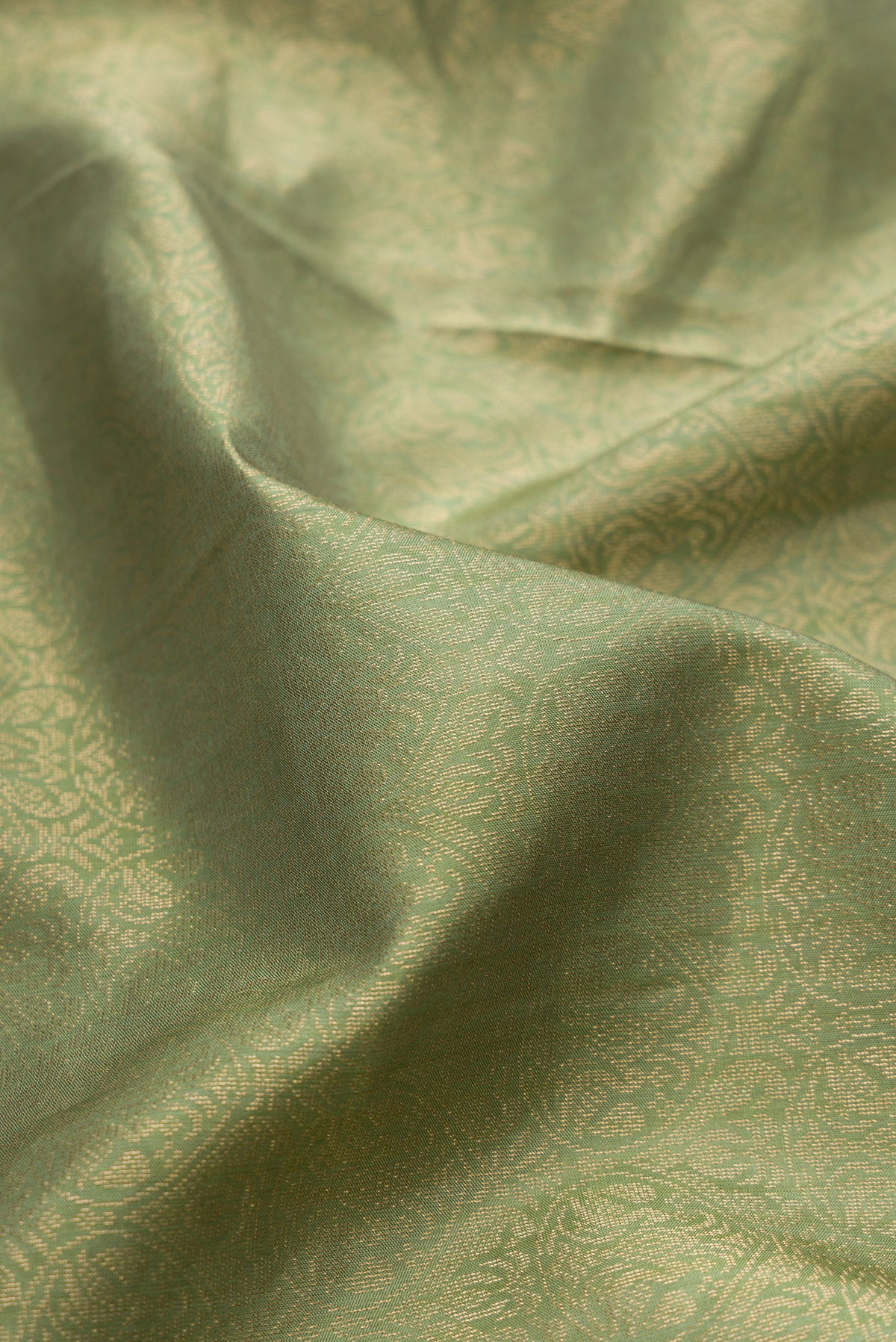 Close up of Sage Green Soft Silk Saree with Zari Brocade on the body and Fancy Border.  displaying folds