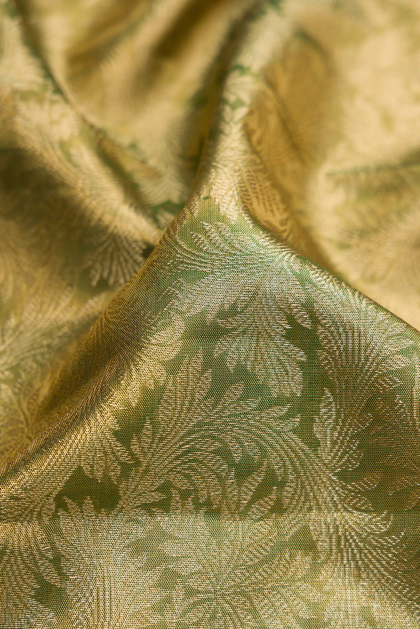Close up of Green Dual Tone Kanjivaram Tissue Silk Saree with Zari Brocade on the body and Fancy Border.  displaying folds
