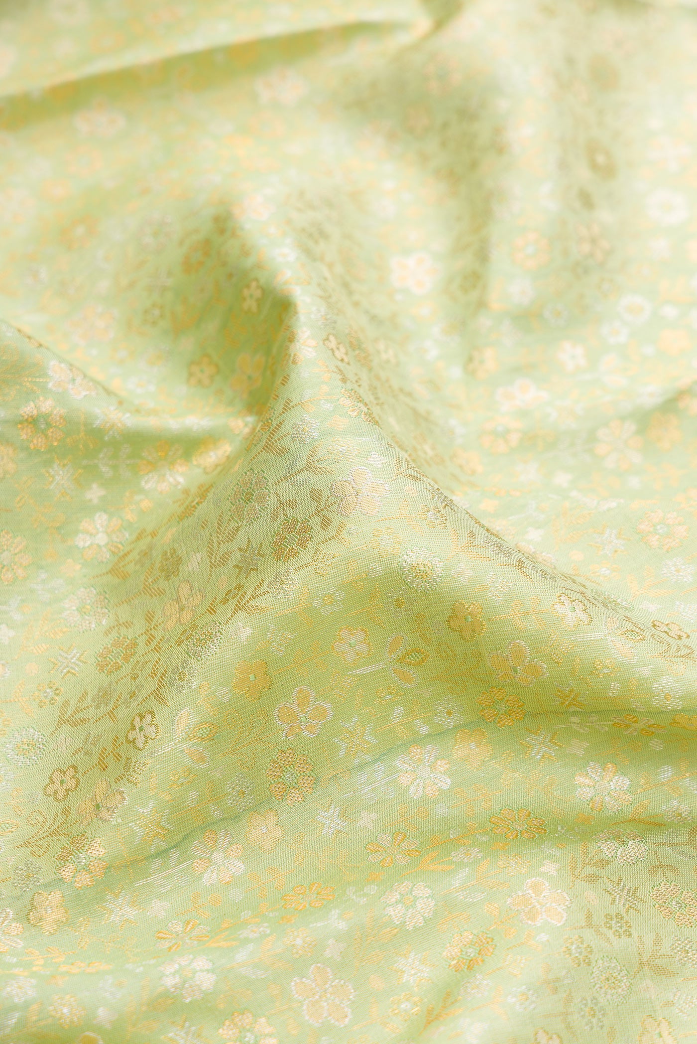 Close up of Pista Green Kanjivaram Silk Saree with Zari Brocade on the body and Fancy Border.  displaying folds