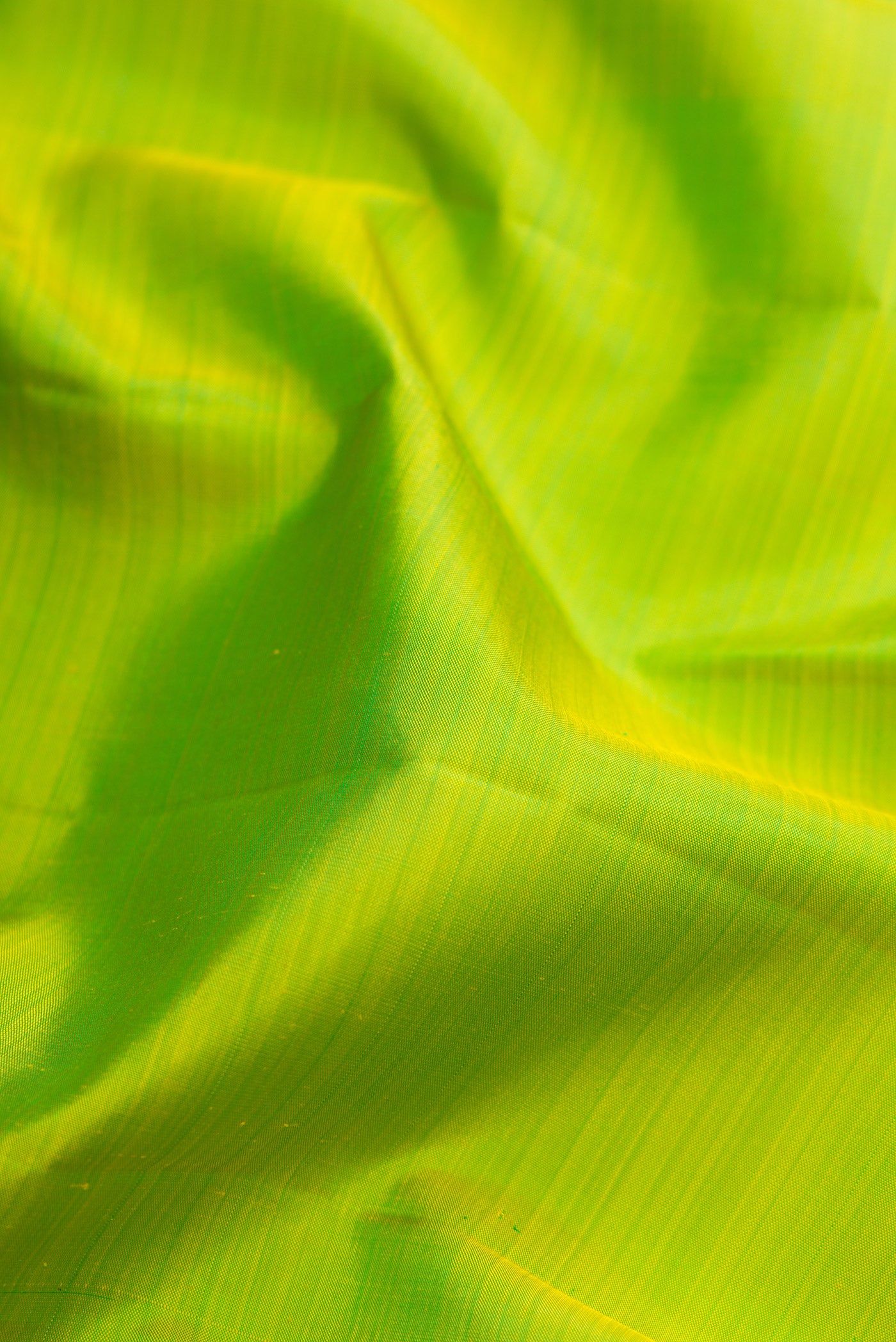 Close up of Parrot Green Kanjivaram Silk Saree with Plain Body and Zari Border.  displaying folds