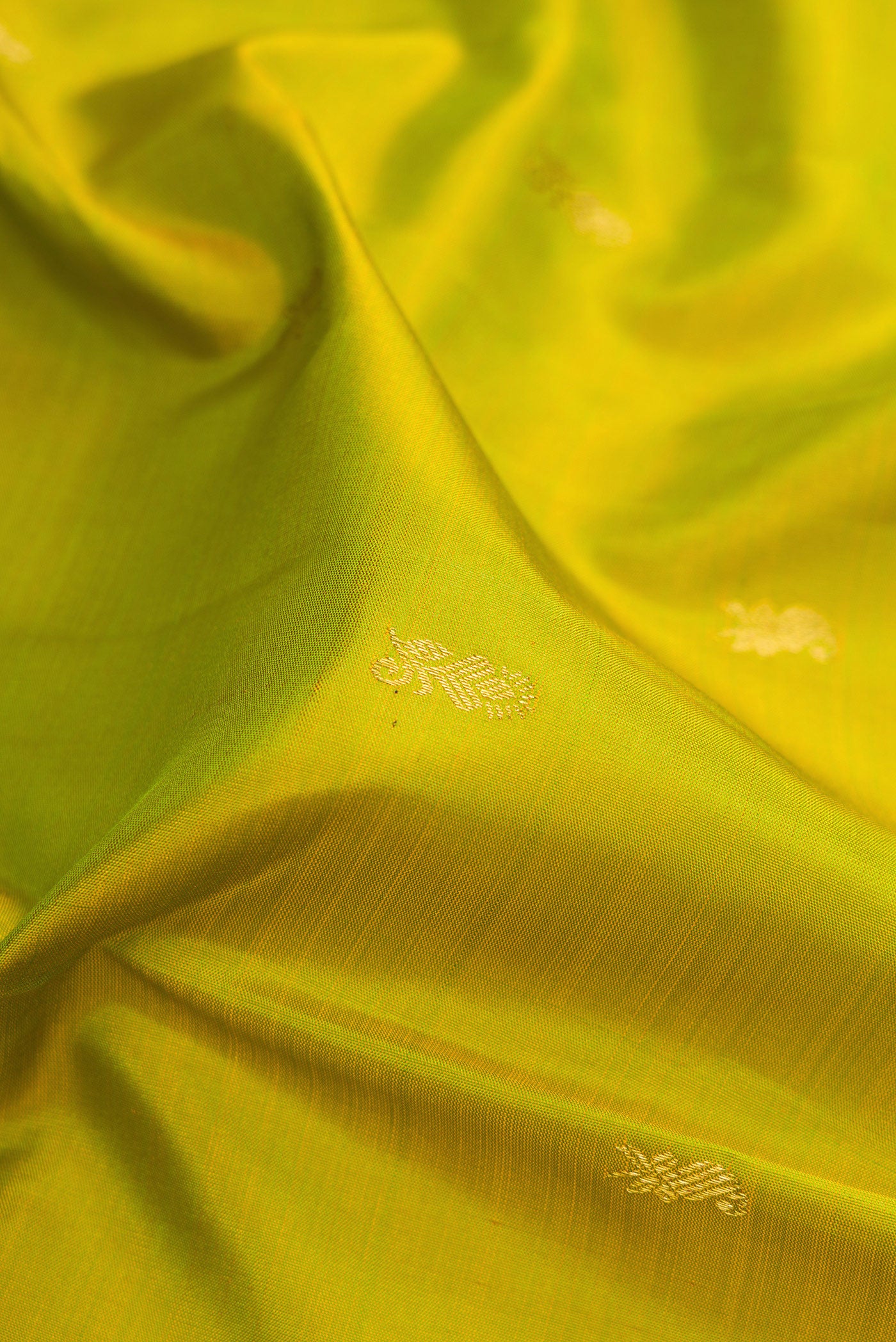 Close up of Parrot Green Kanjivaram Silk Saree with Zari Butta on the body and Zari Border.  displaying folds