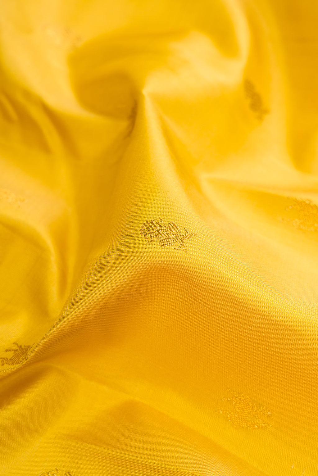 Close up of Yellow Kanjivaram Silk Saree with Zari Butta on the body and Zari Border.  displaying folds