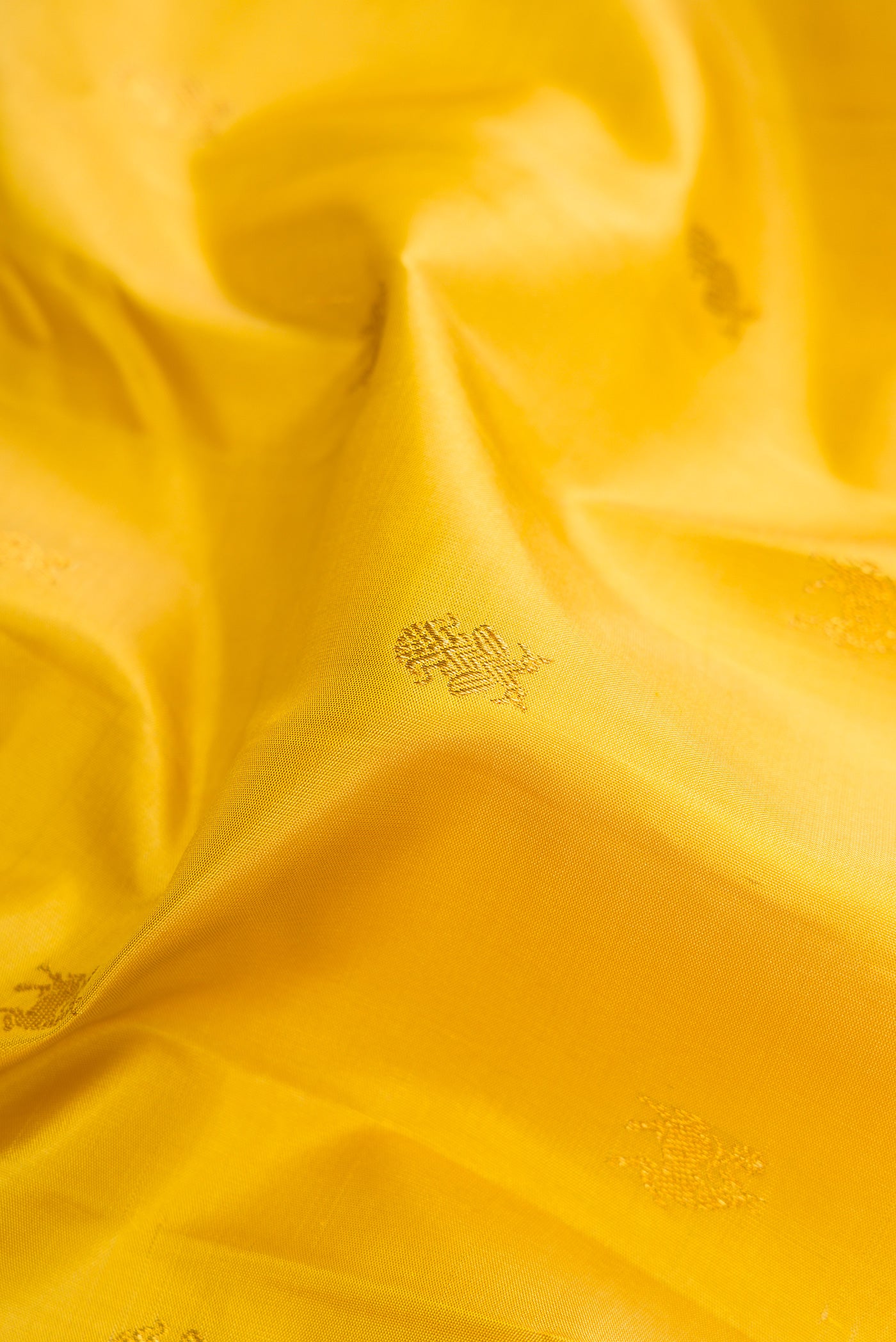 Close up of Yellow Kanjivaram Silk Saree with Zari Butta on the body and Zari Border.  displaying folds
