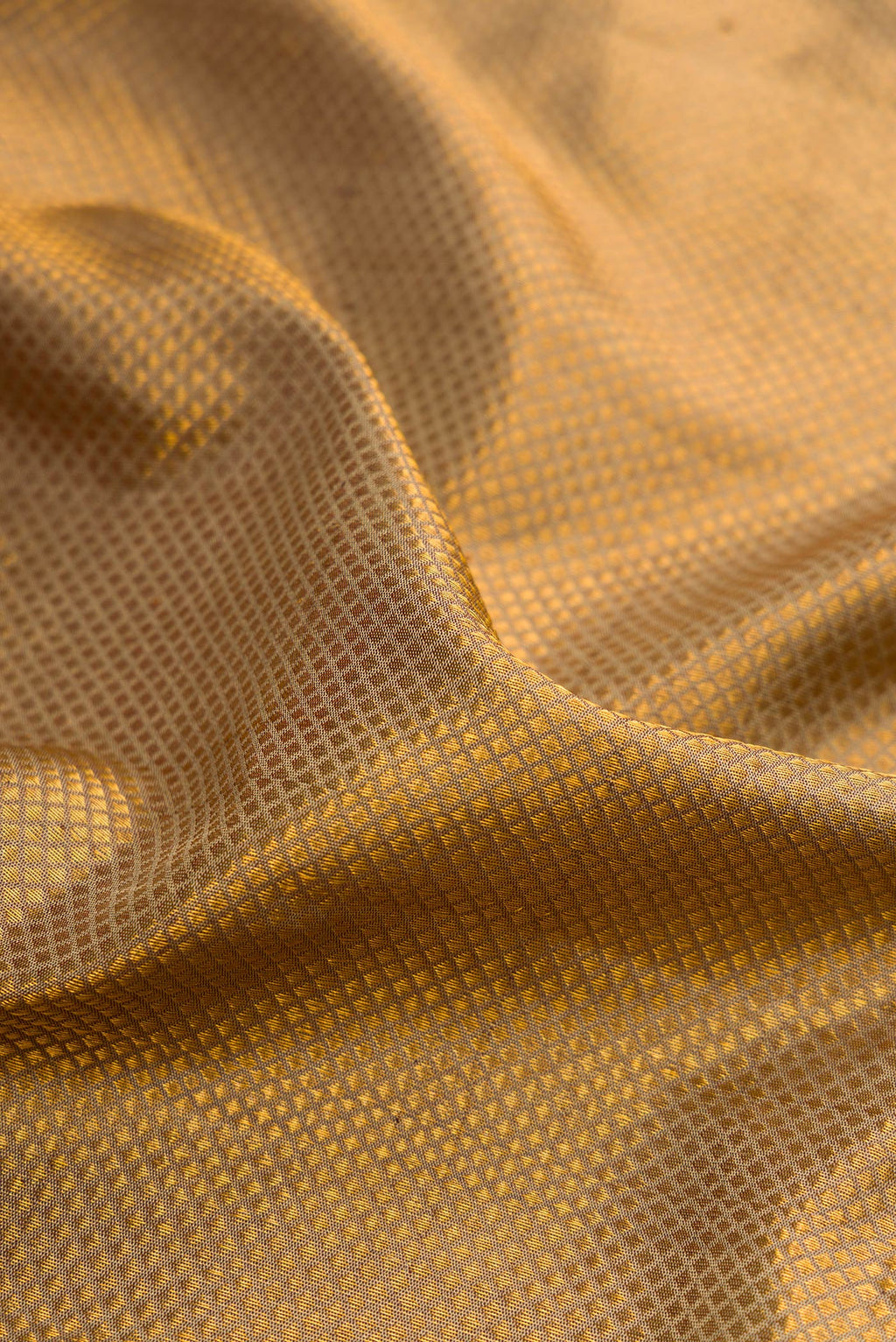 Close up of Dark Beige Gadwal Silk Saree with Zari Brocade on the body and Zari Border.  displaying folds