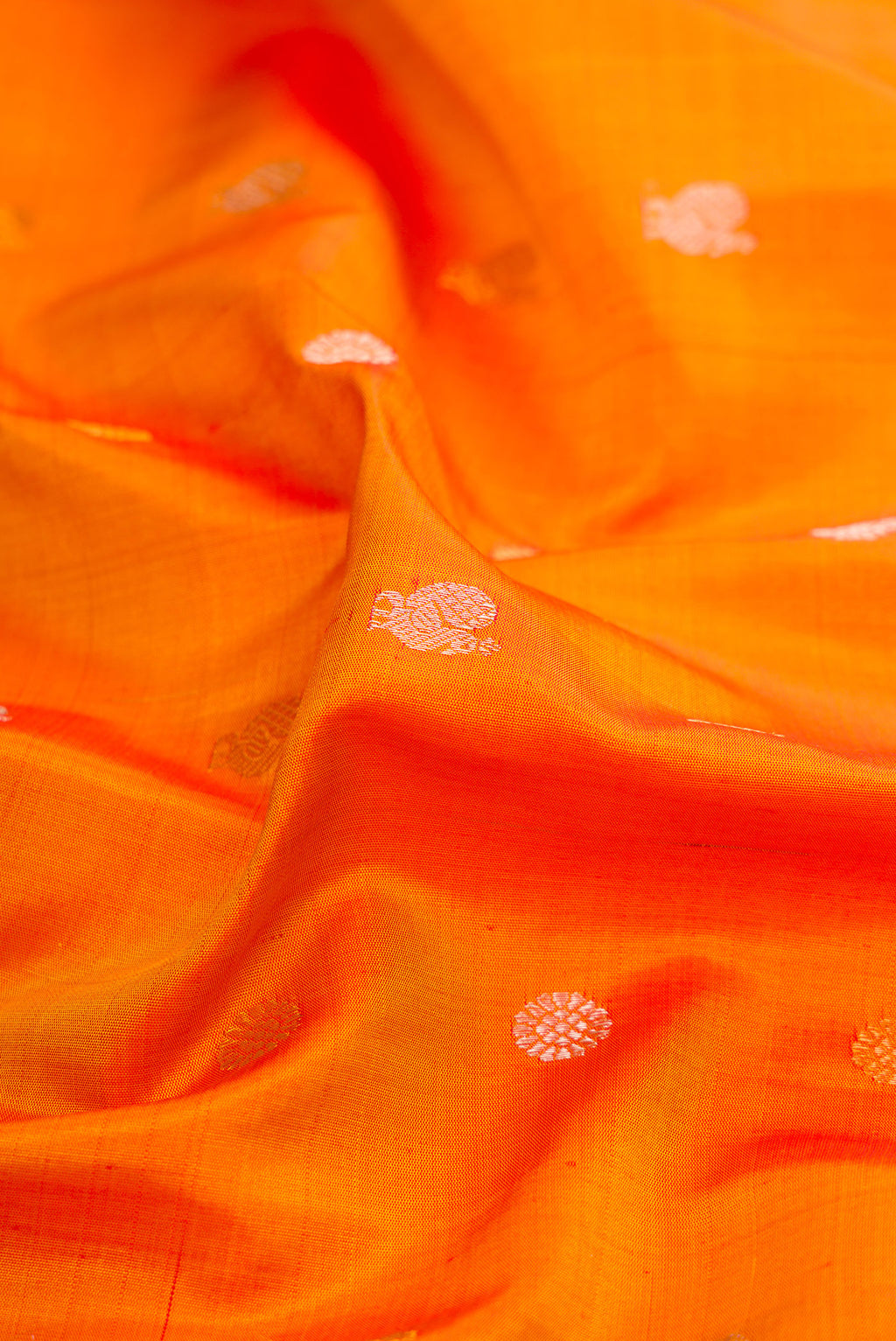 Close up of Mustard Gadwal Silk Saree with Zari Butta on the body and Fancy Border.  displaying folds