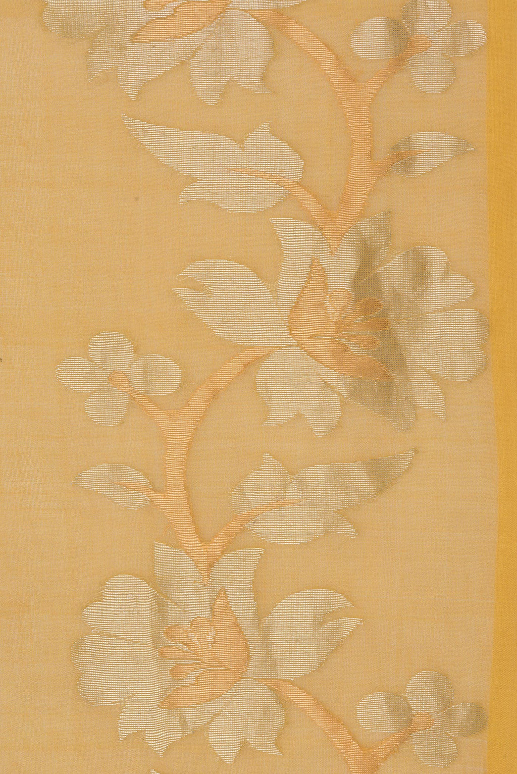 Border image of Pure Silk Mustard Dual Tone Tussar Saree with Plain Body and Fancy Border. 