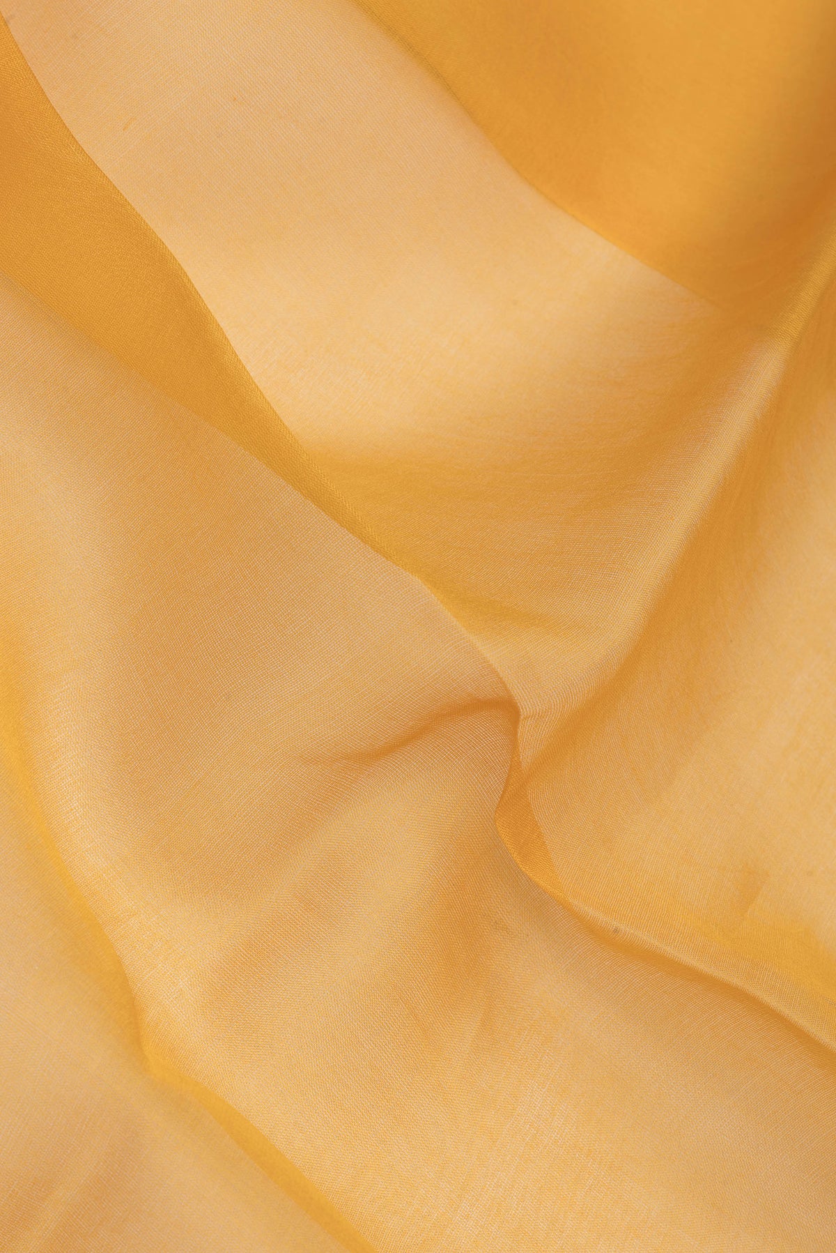 Close up of Pure Silk Mustard Dual Tone Tussar Saree with Plain Body and Fancy Border.  displaying folds