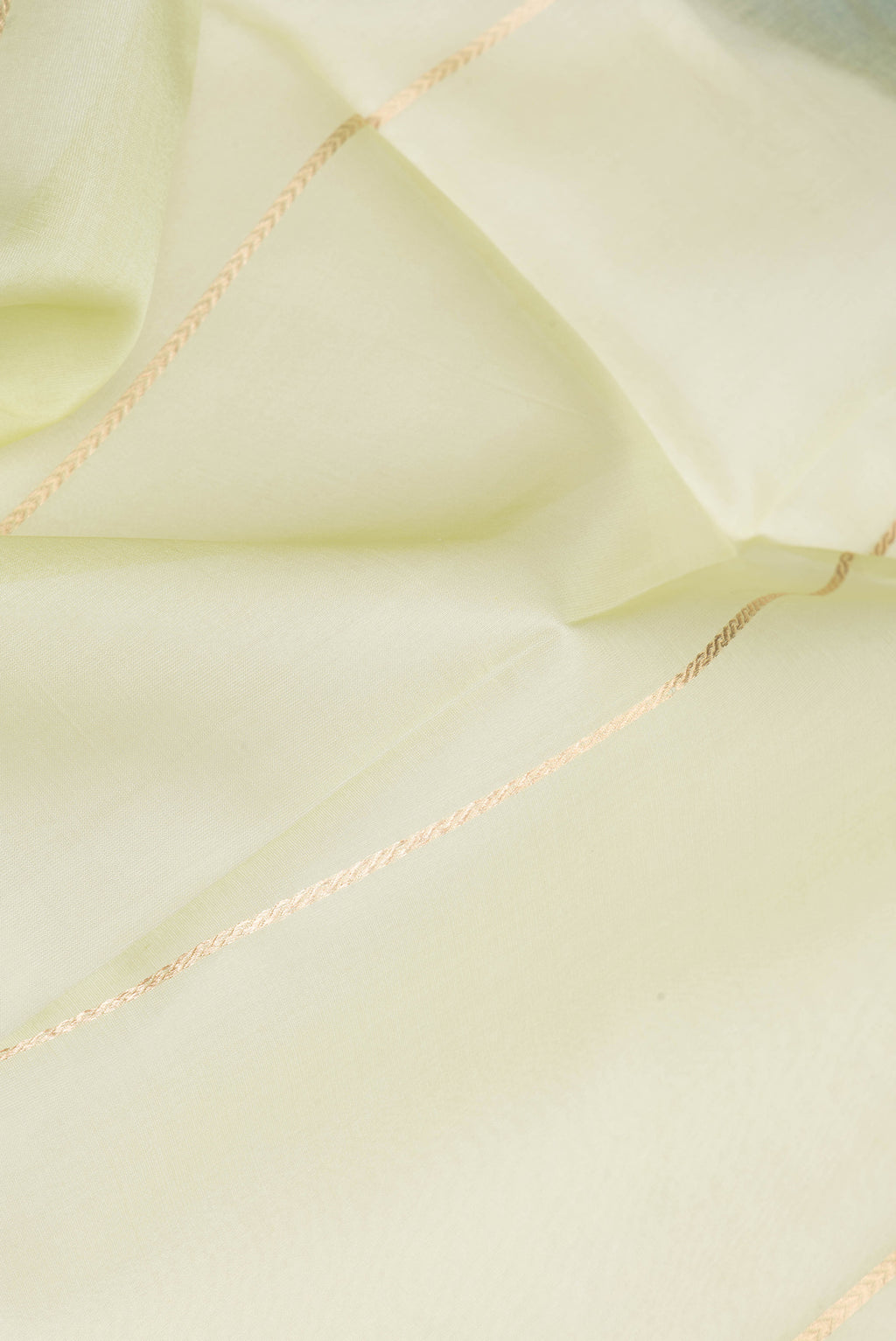 Close up of Pista Green Organza Silk Saree with Stripes on the body and Zari Border.  displaying folds