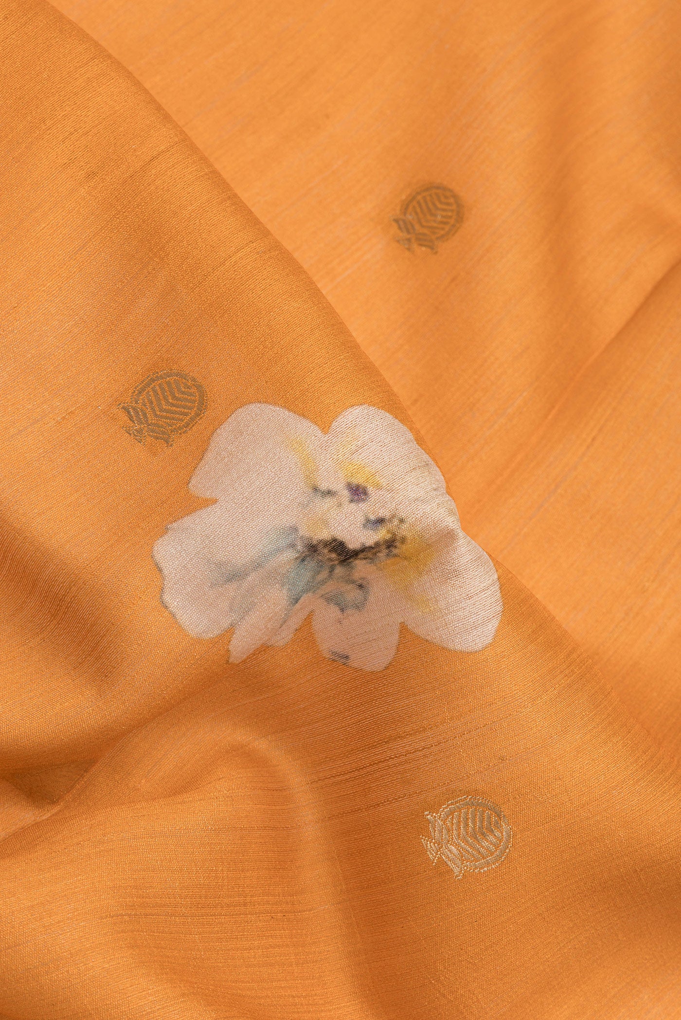 Close up of Mustard Tussar Silk Saree with Zari Butta on the body and Fancy Border.  displaying folds
