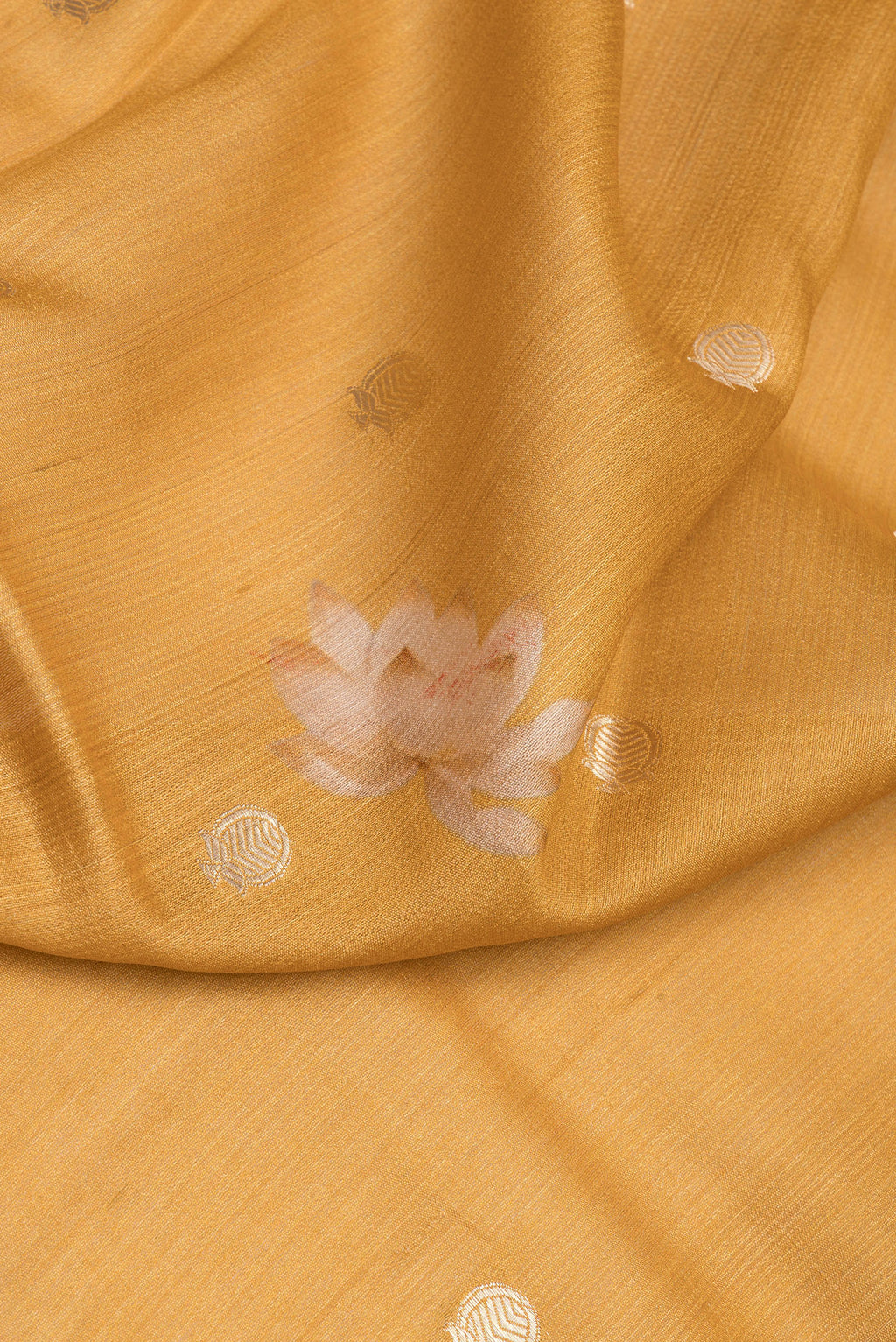 Close up of Mustard Tussar Silk Saree with Zari Butta on the body and Fancy Border.  displaying folds
