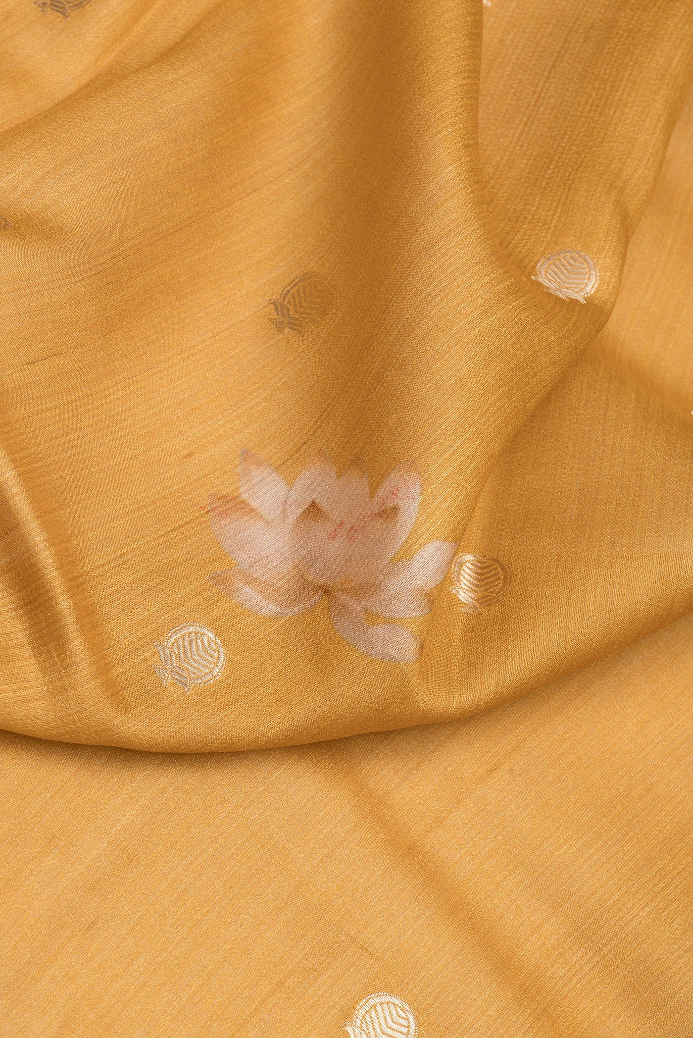 Close up of Mustard Tussar Silk Saree with Zari Butta on the body and Fancy Border.  displaying folds