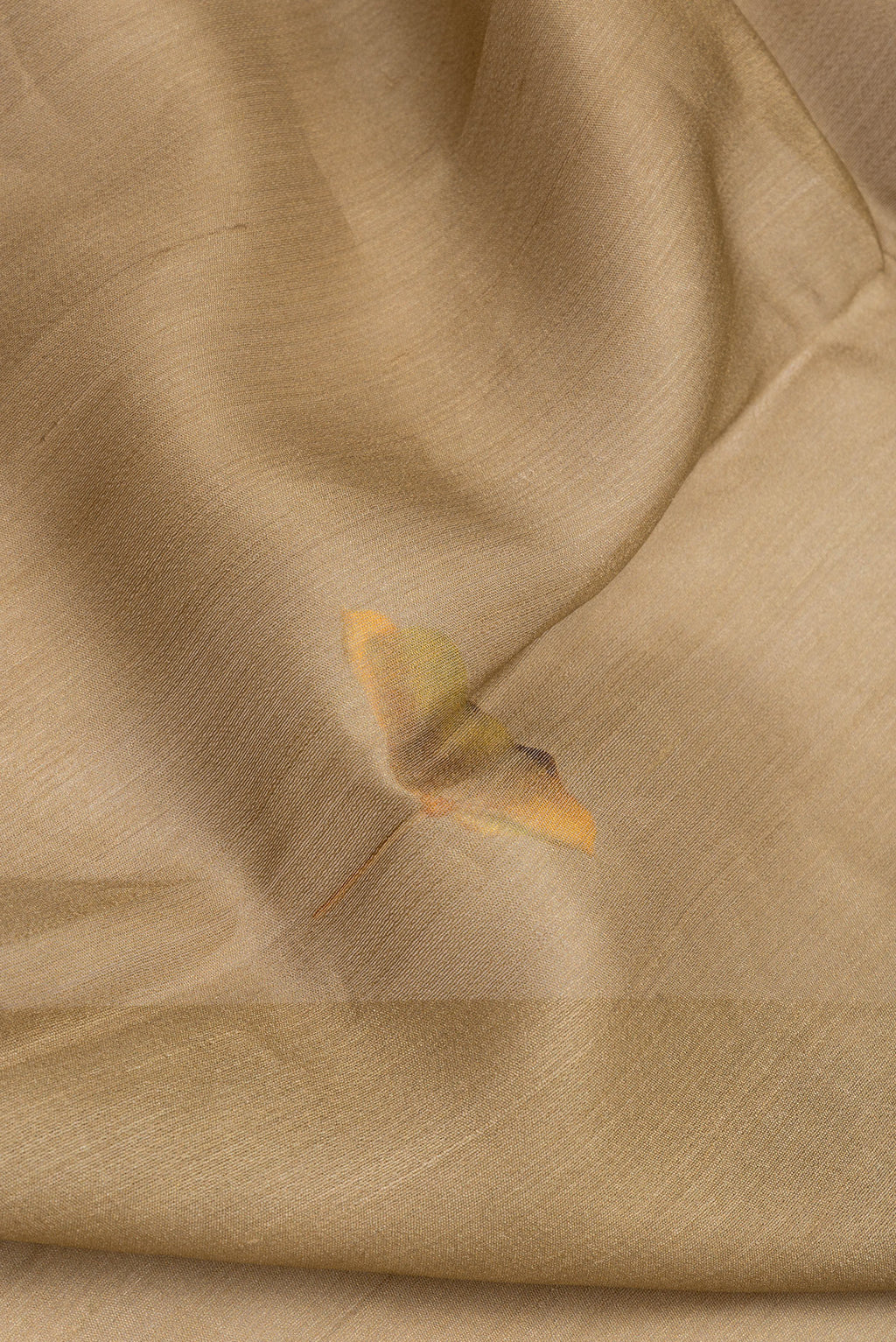 Close up of Dark Beige Tussar Silk Saree with Printed design on the body and Fancy Border.  displaying folds