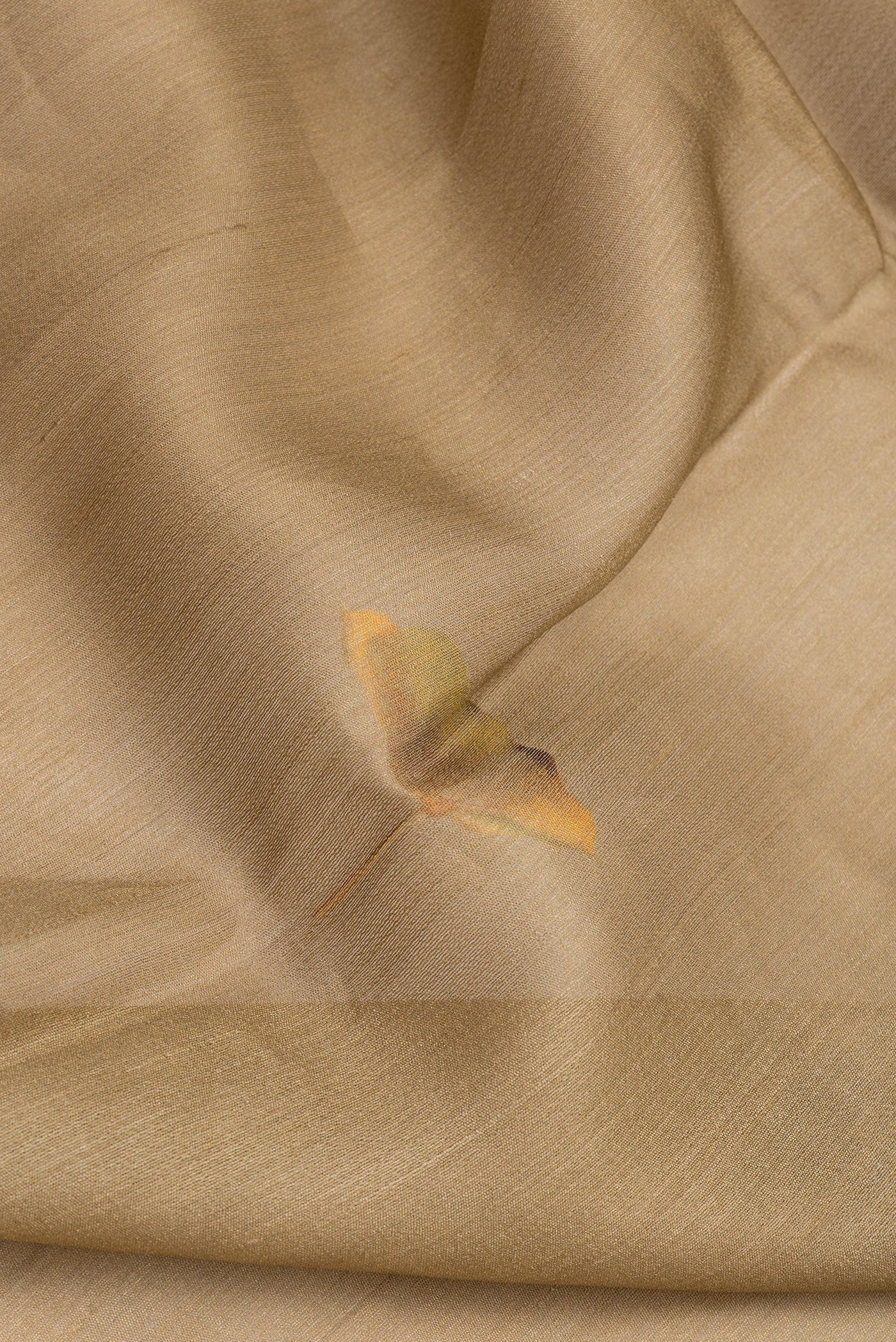 Close up of Dark Beige Tussar Silk Saree with Printed design on the body and Fancy Border.  displaying folds