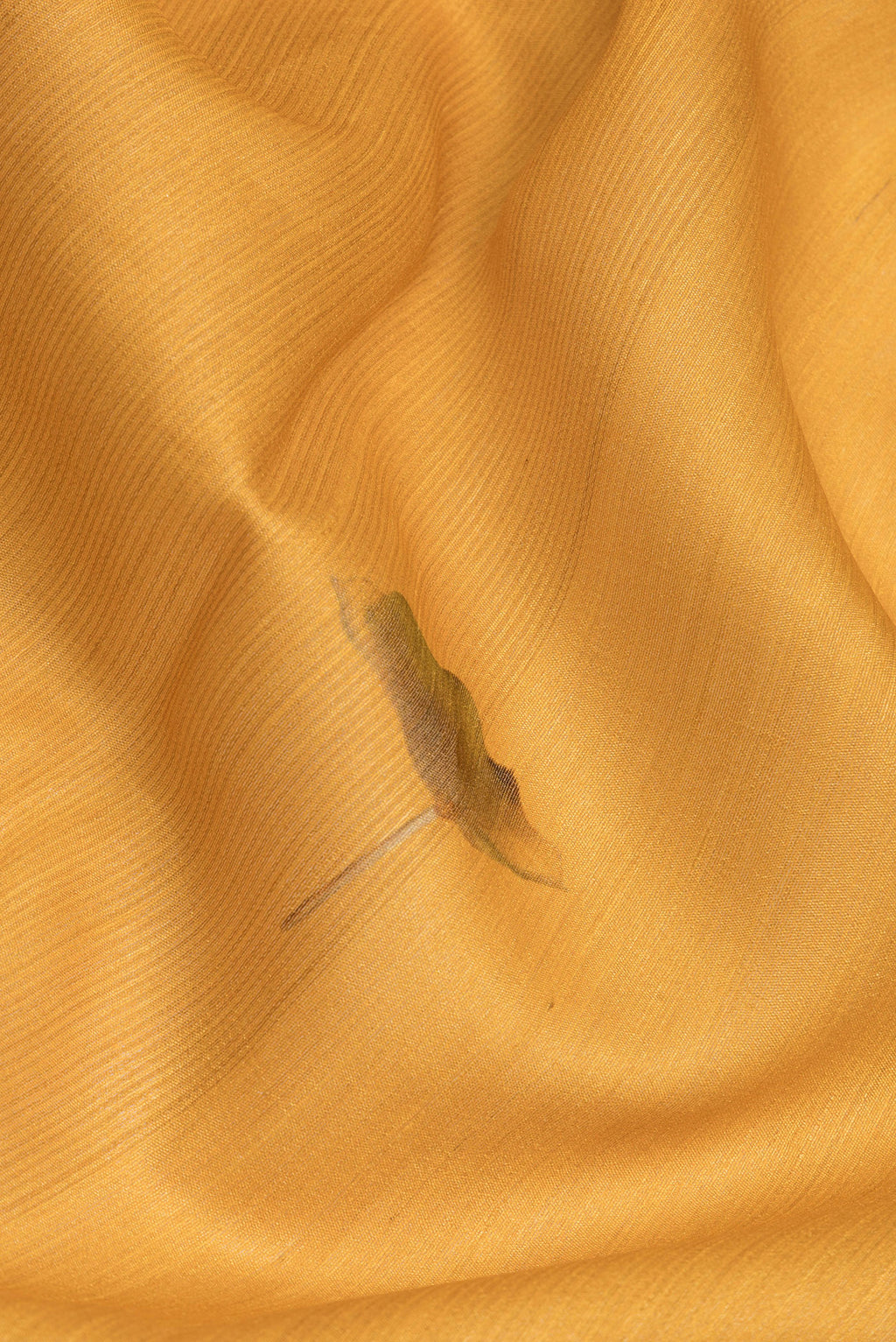 Close up of Mustard Tussar Silk Saree with Printed design on the body and Fancy Border.  displaying folds
