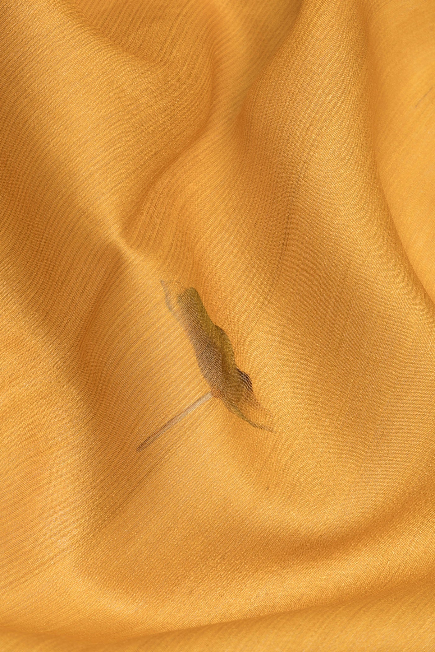 Close up of Mustard Tussar Silk Saree with Printed design on the body and Fancy Border.  displaying folds