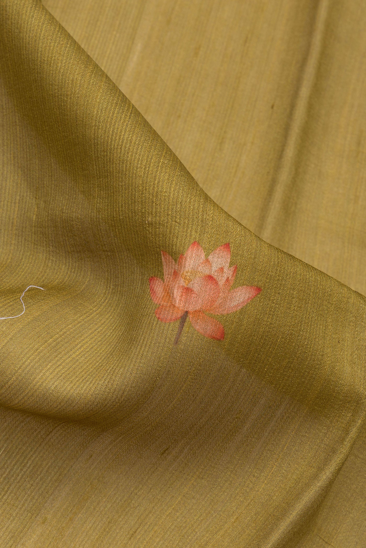 Close up of Mehandi Green Tussar Silk Saree with Printed design on the body and Fancy Border.  displaying folds