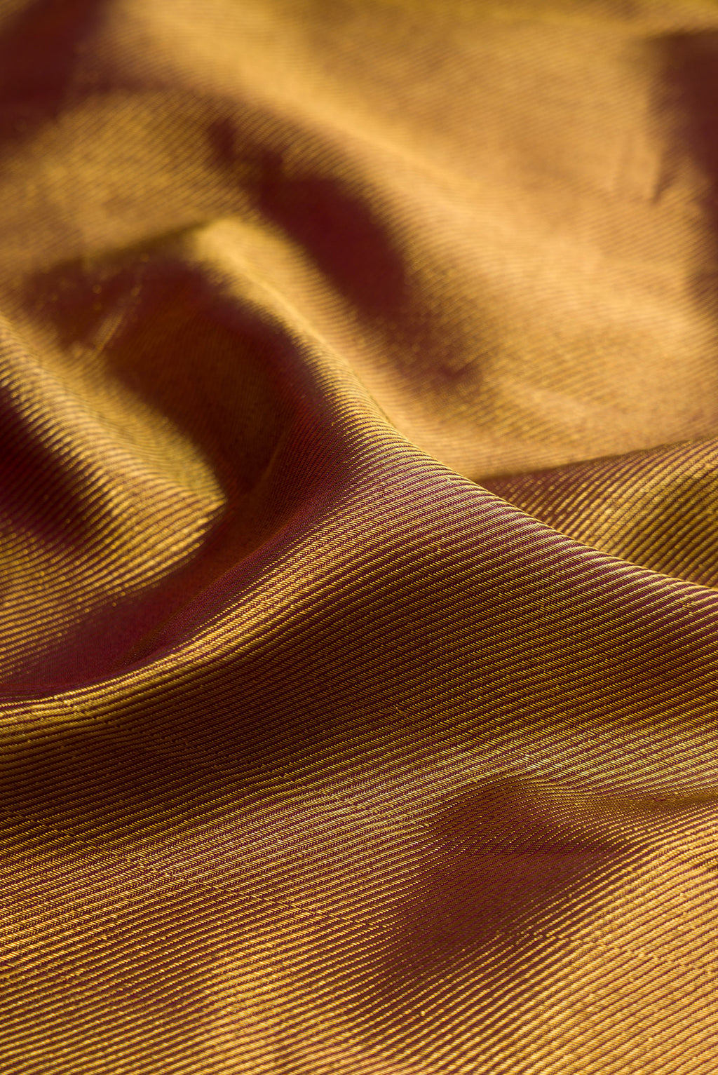 Close up of Coffee Brown Kanchipuram Silk Saree with Zari Brocade on the body and Fancy Border.  displaying folds