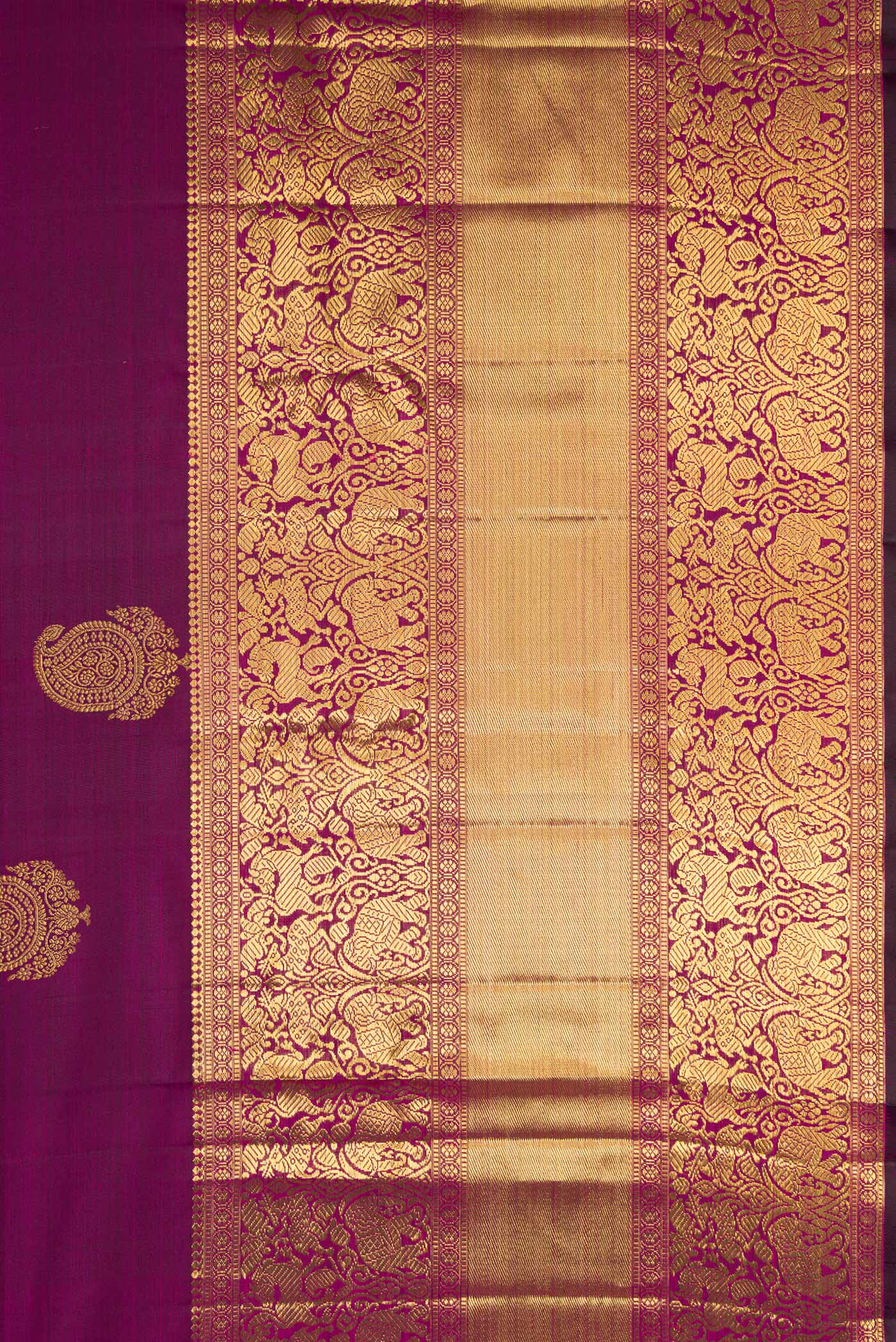 Border image of Magenta Dual Tone Kanchipuram Silk Saree with Zari Butta on the body and Fancy Border. 