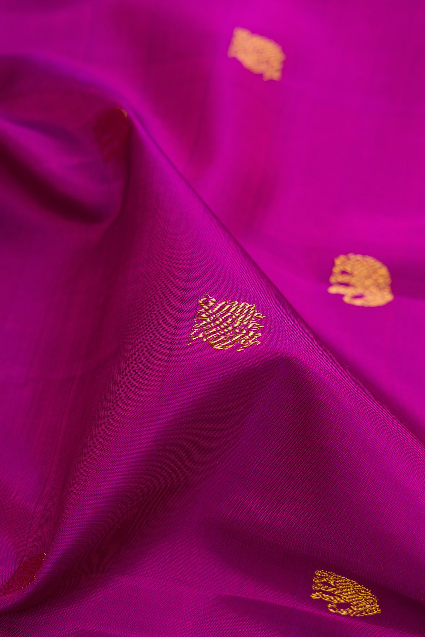 Close up of Magenta Kanchipuram Silk Saree with Zari Butta on the body and Paithani Border.  displaying folds