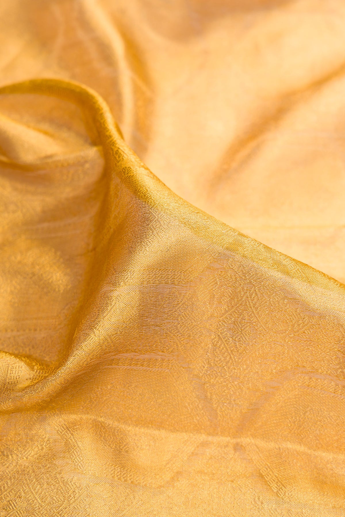 Close up of Sandal Dual Tone Kanjivaram Tissue Saree with Zari Brocade on the body and Zari Border.  displaying folds
