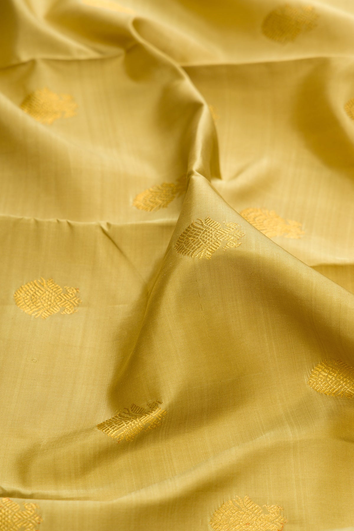 Close up of Pure Silk Gold Kanchipuram Saree with Zari Butta on the body and Zari Border.  displaying folds