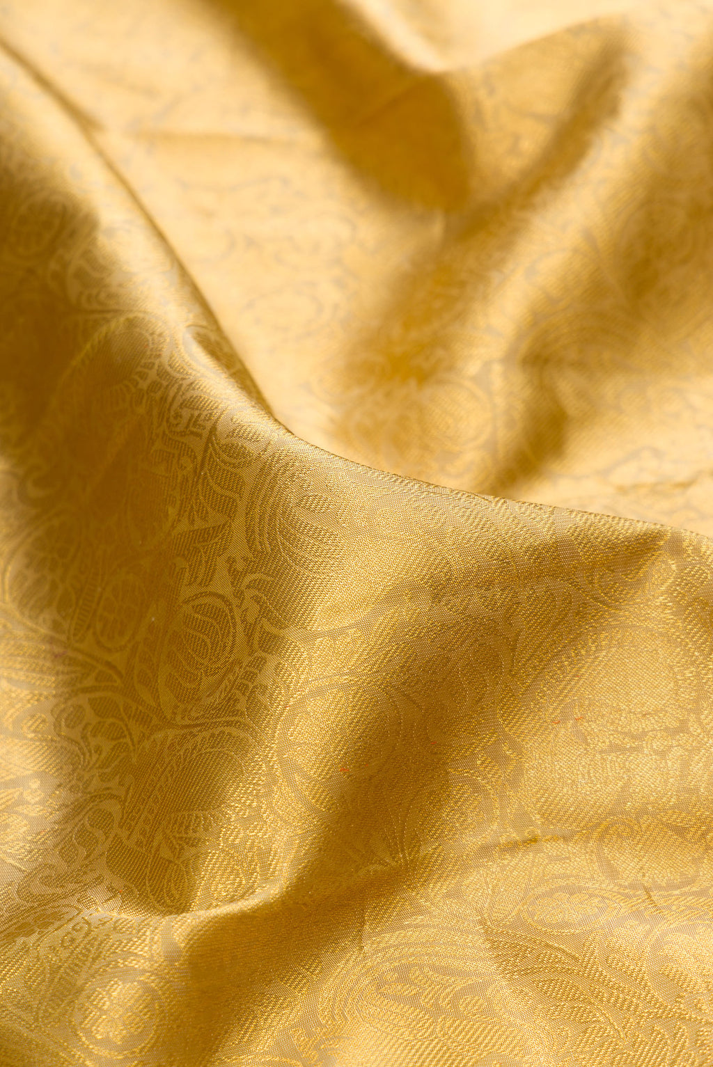 Close up of Pure Silk Gold Kanchipuram Saree with Zari Brocade on the body and Zari Border.  displaying folds