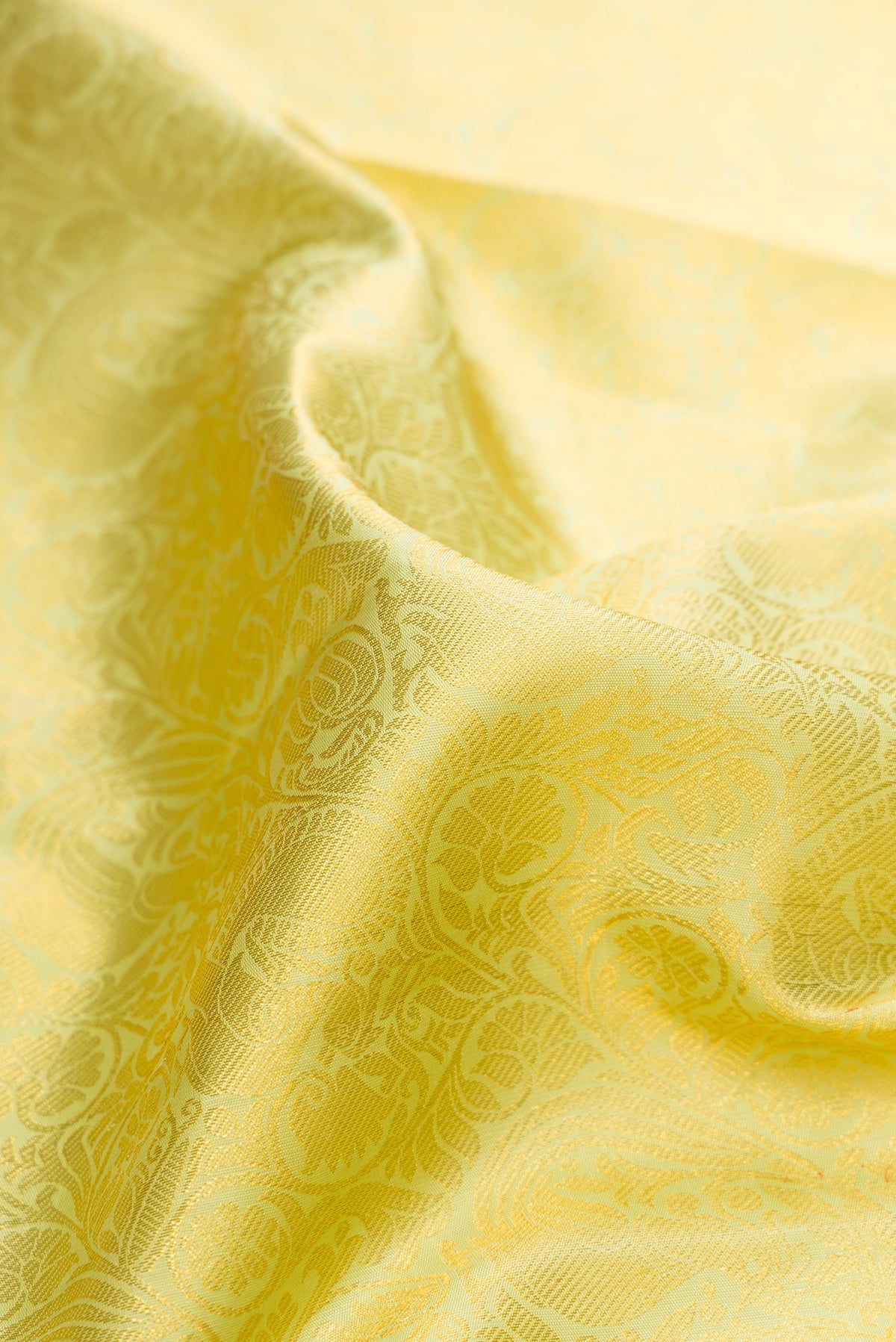 Close up of Pure Silk Pista Green Kanchipuram Saree with Zari Brocade on the body and Zari Border.  displaying folds