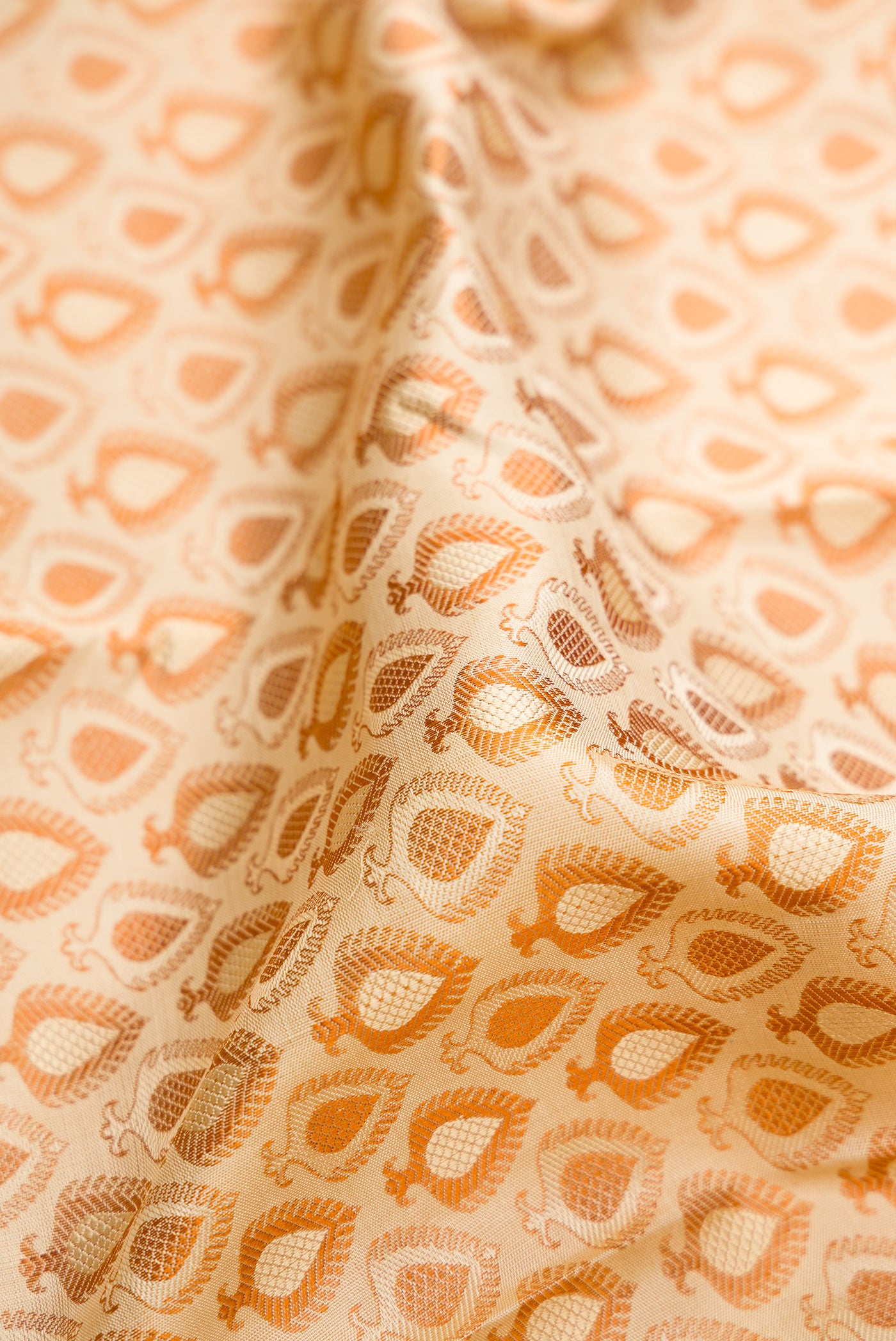 Close up of Sandal Kanjivaram Silk Saree with Jacquard design on the body and Thread Border.  displaying folds