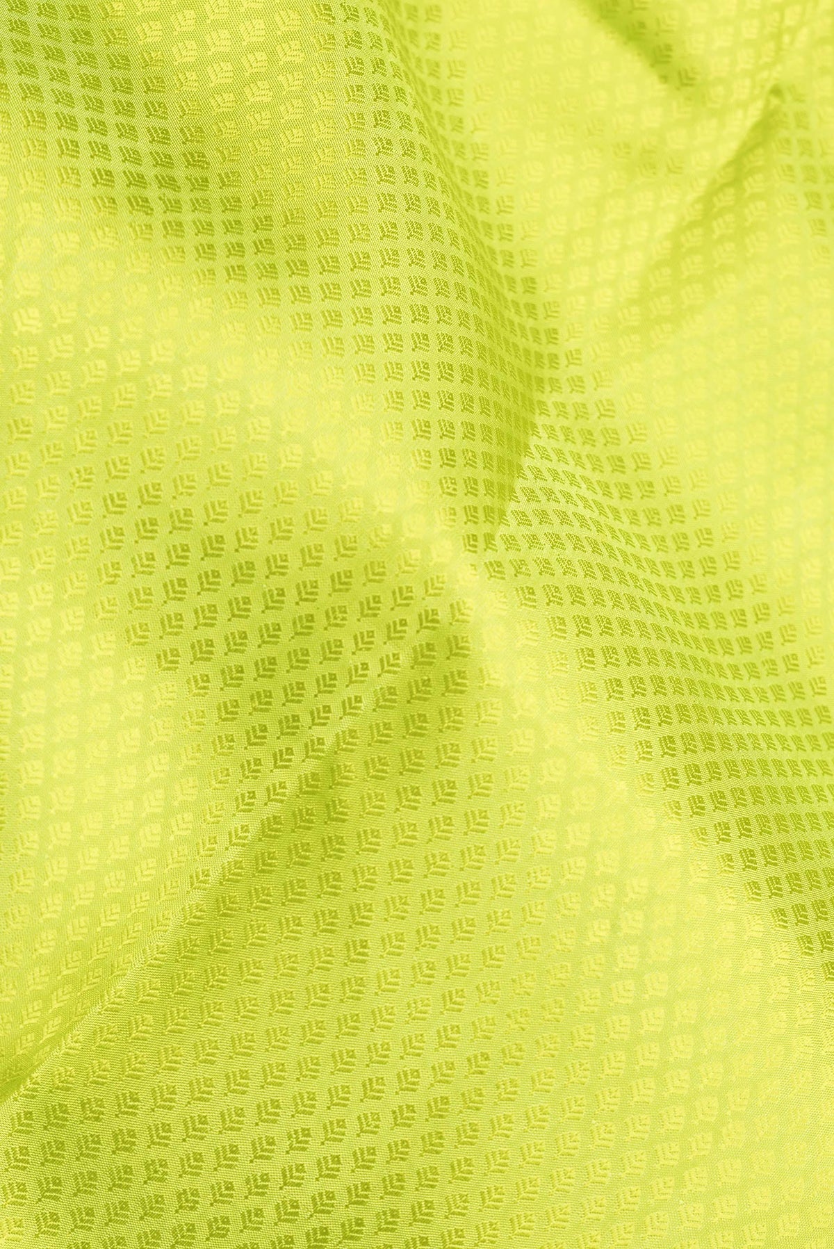 Close up of Pure Silk Parrot Green Kanchipuram Saree with Jacquard design on the body and Zari Border.  displaying folds