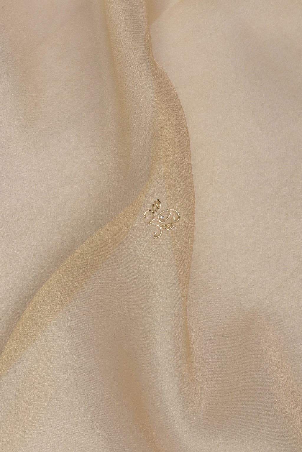 Close up of Beige Dual Tone Organza Saree with Embroidery on the body and Embroidery Border.  displaying folds