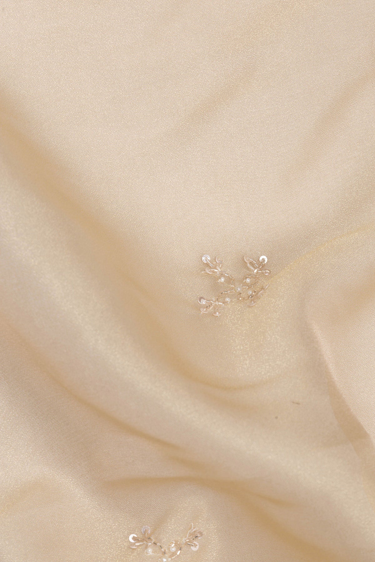 Close up of Beige Dual Tone Organza Saree with Embroidered on the body and Sequin Border.  displaying folds
